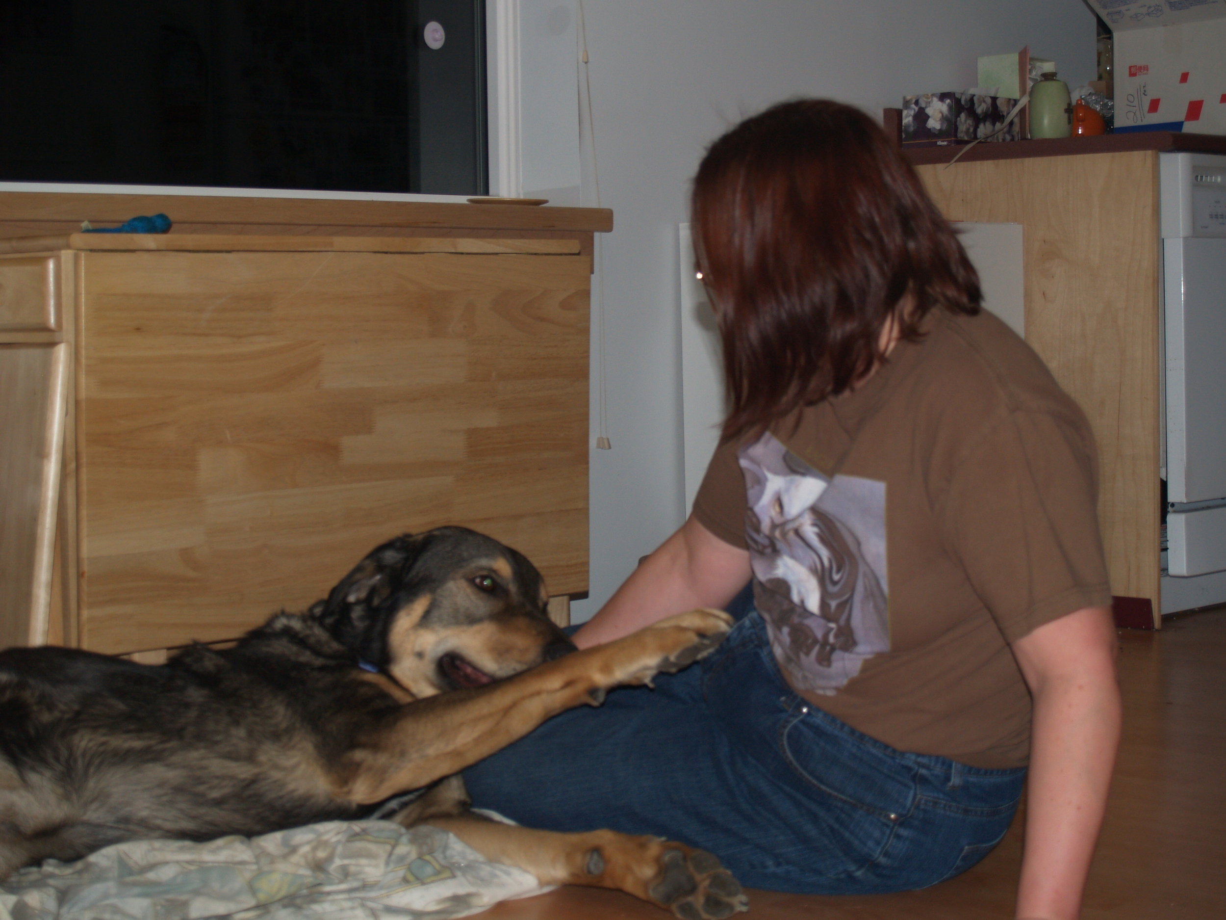 alison zeidler performs bodywork and energy healing on an old dog laying on the floor