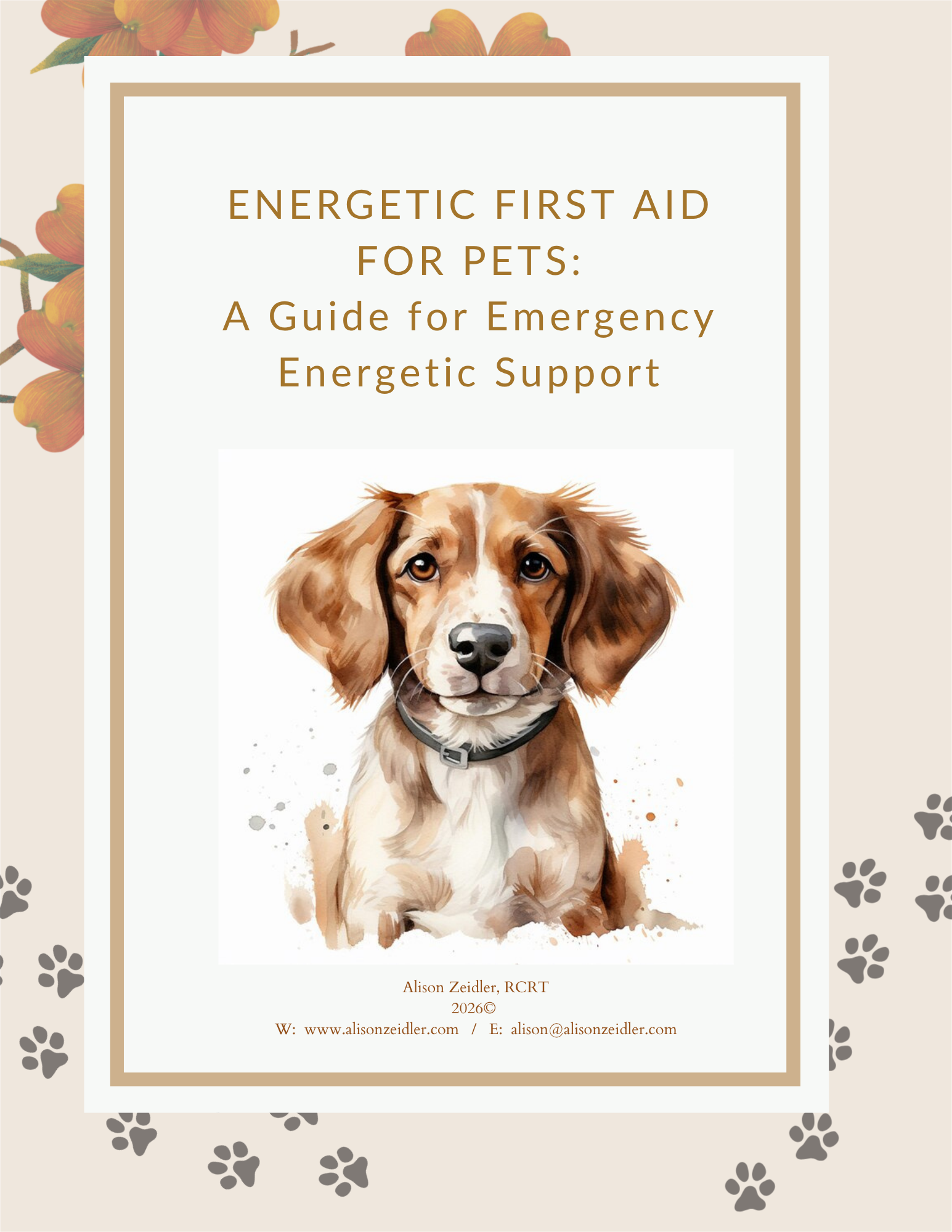 First Page Photo Energetic First Aid - Final.png