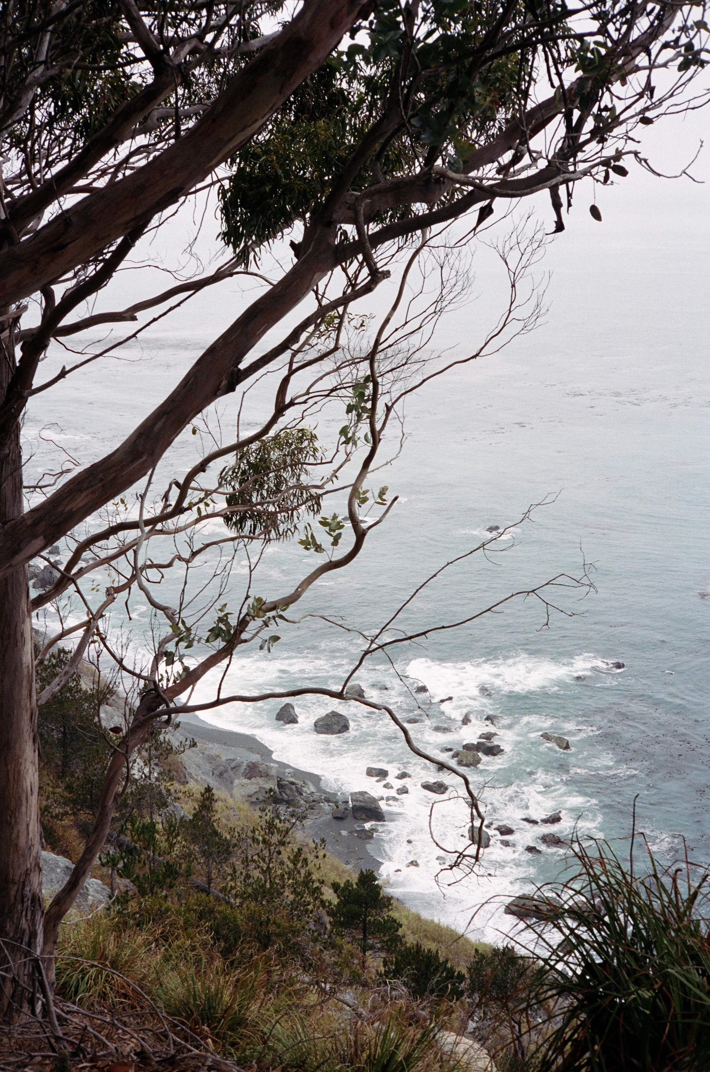 Big Sur, California : Kodak Portra 400