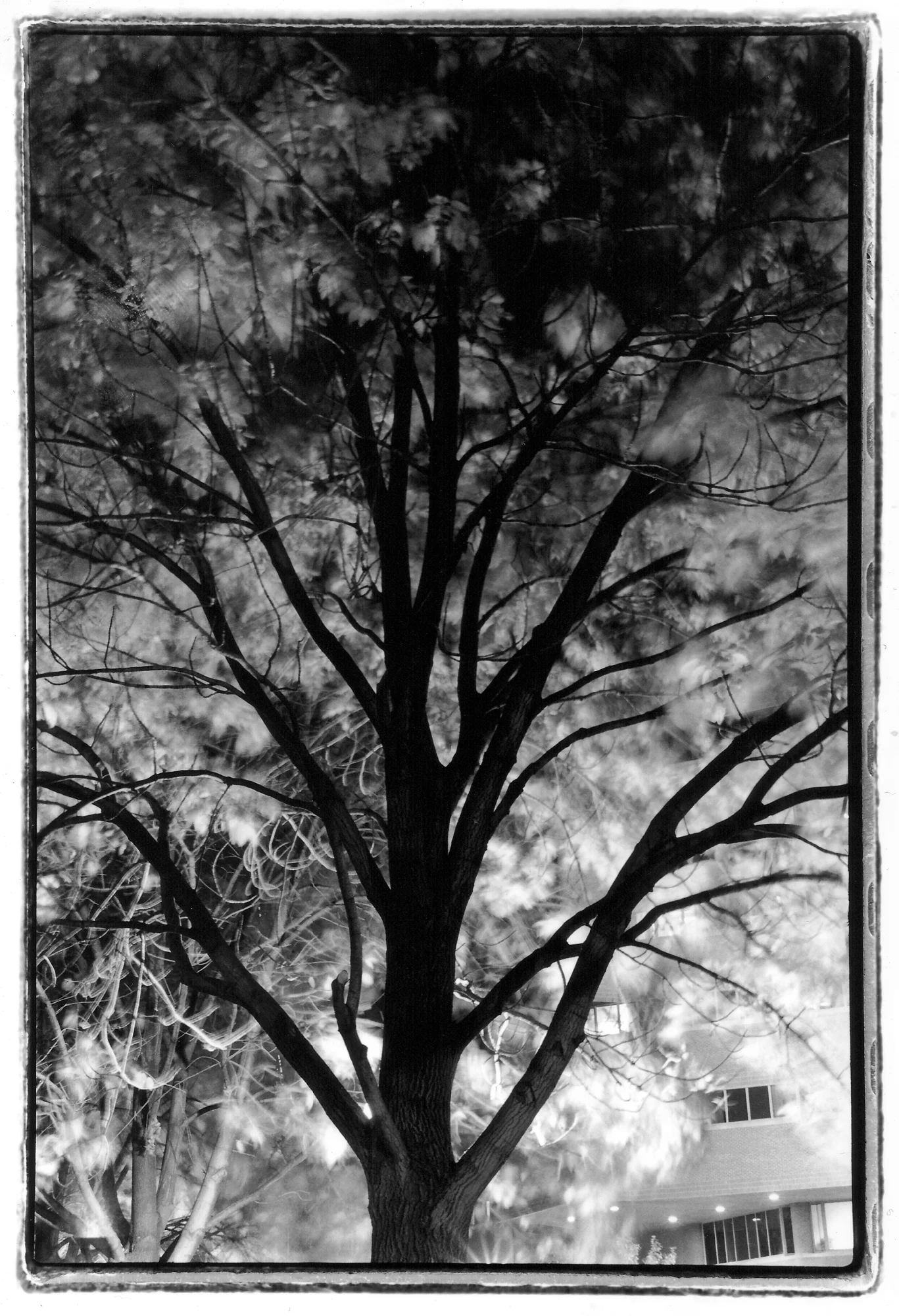 Minneapolis, Minnesota : Ilford HP5