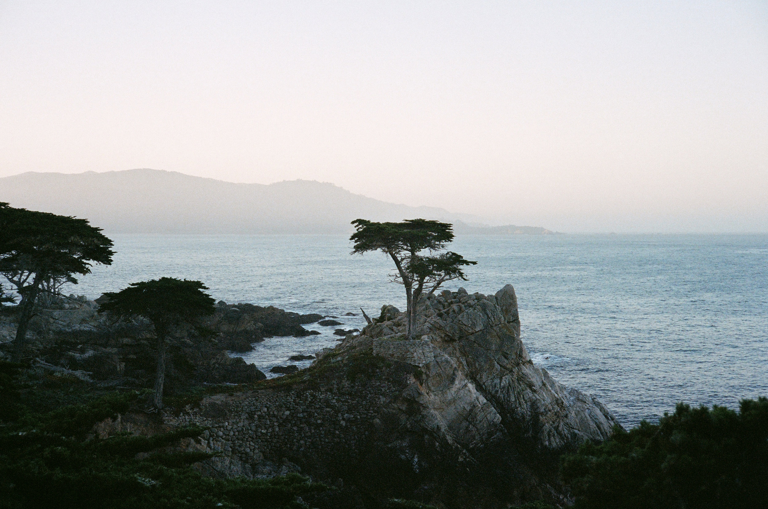  Del Monte Forest, California : Kodak Portra 400 