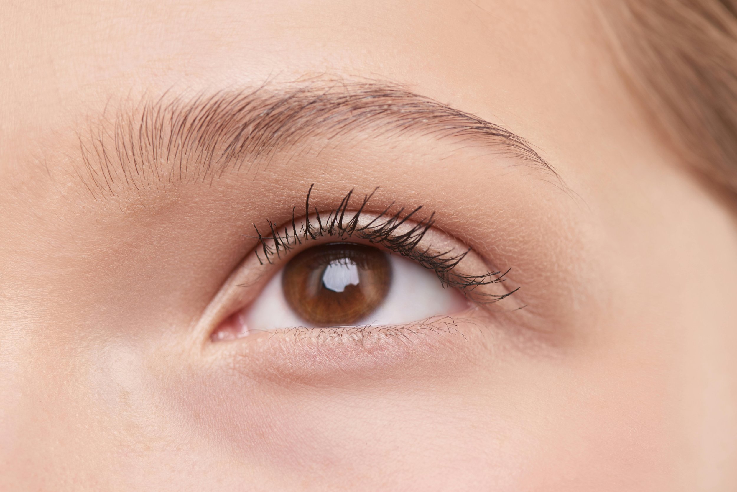Discover the Natural, Fluffy Brow Look That’s Gently Taking Over in 2025