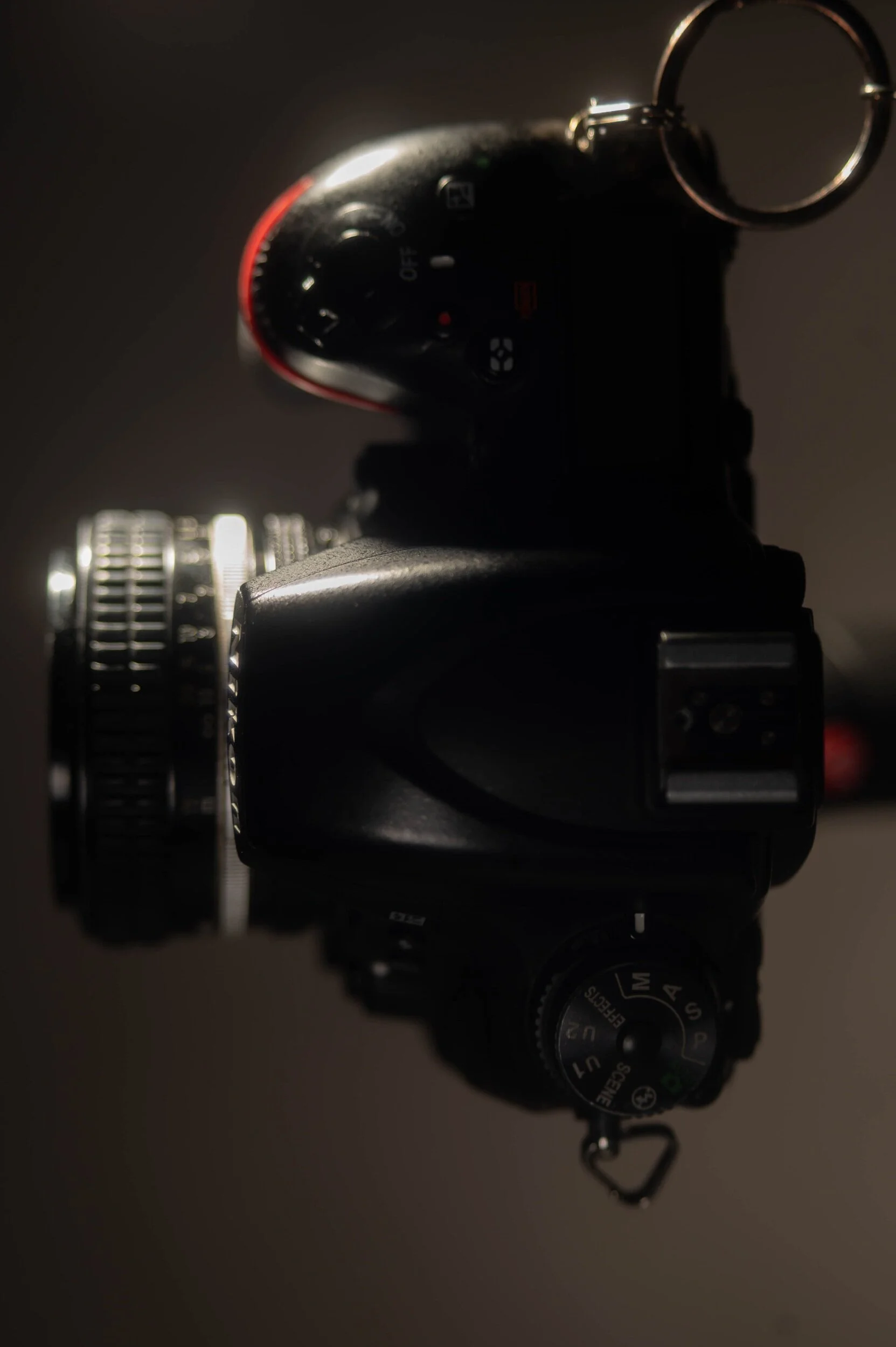 750-11.jpg