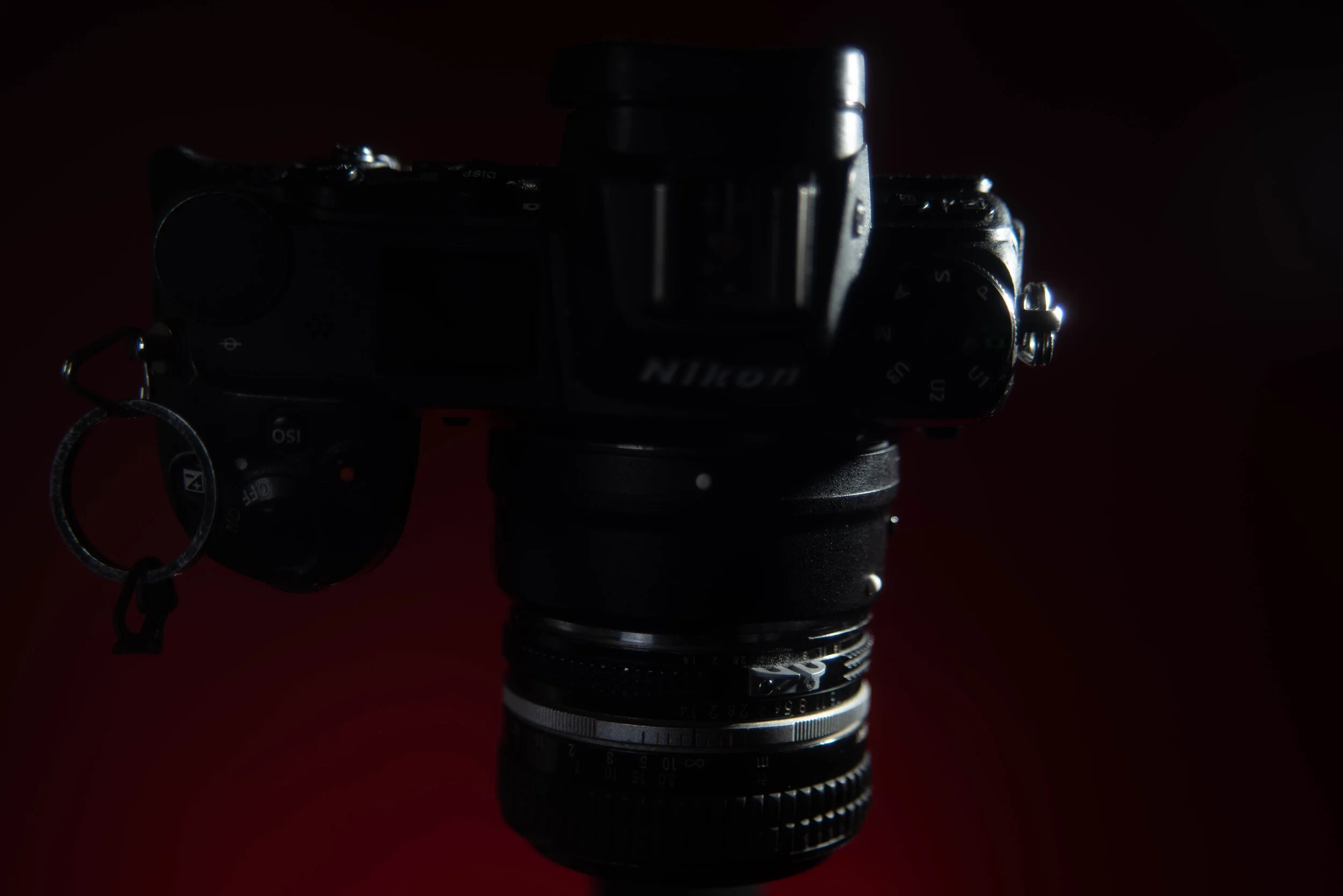 z6-8.jpg