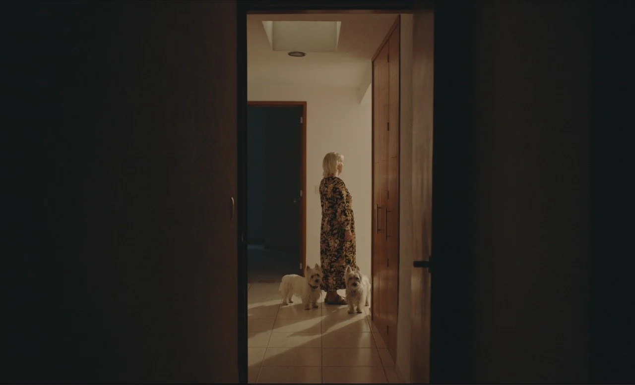 WhatsApp Image 2026-01-05 at 14.26.48.jpeg