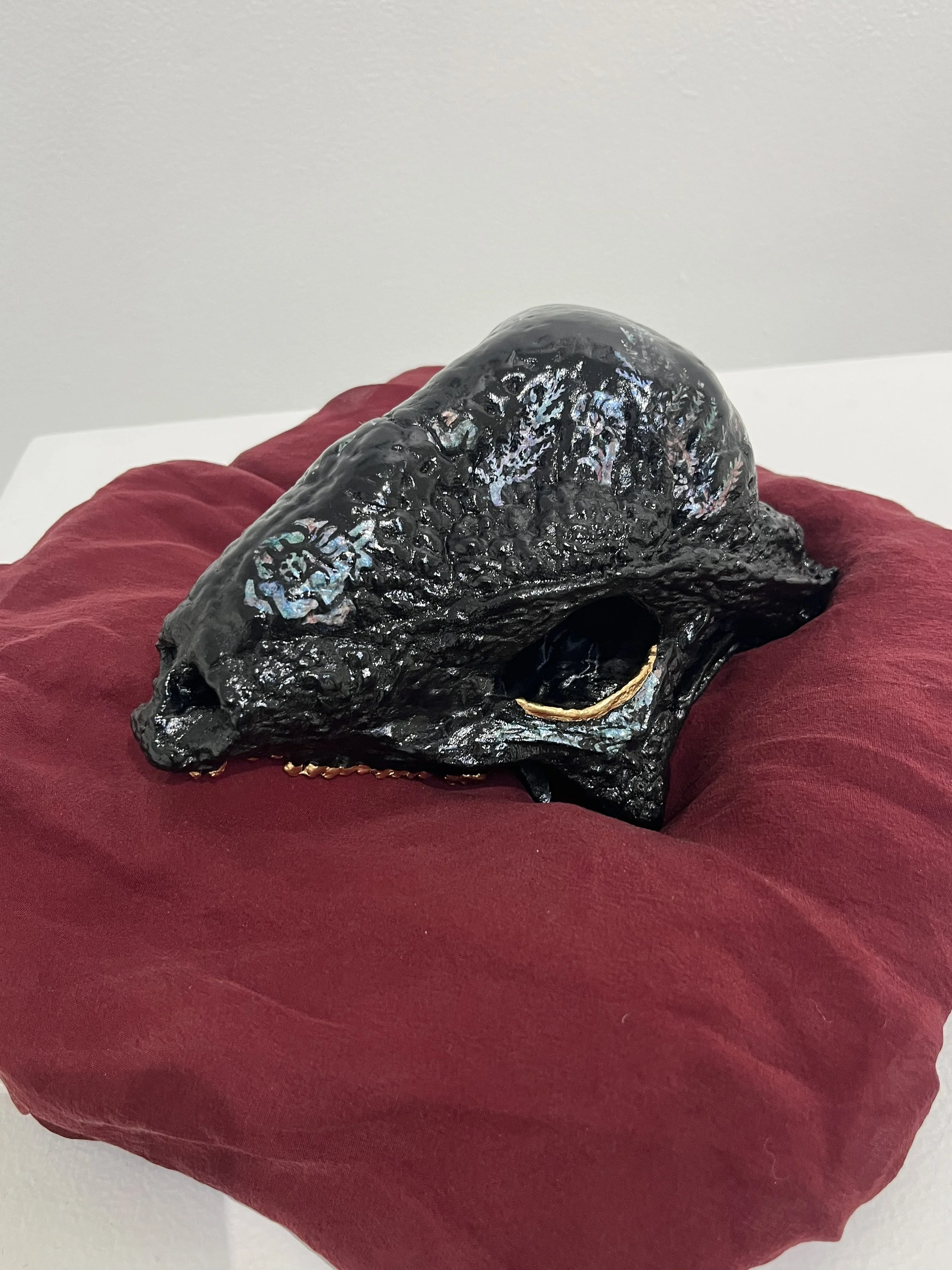 Photo Dec 13 2025, 3 17 42 PM.jpg