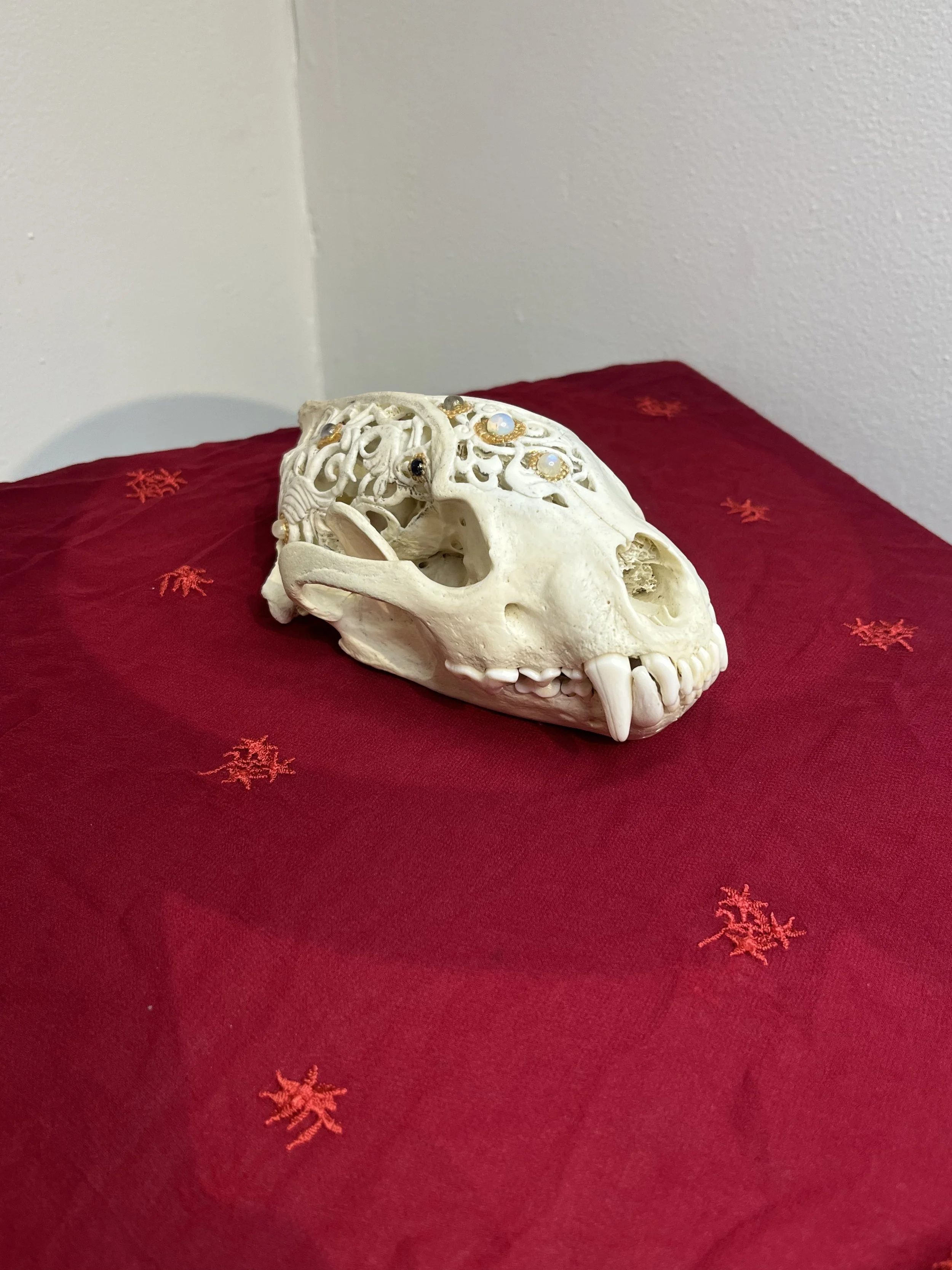 Photo Dec 13 2025, 3 18 14 PM.jpg