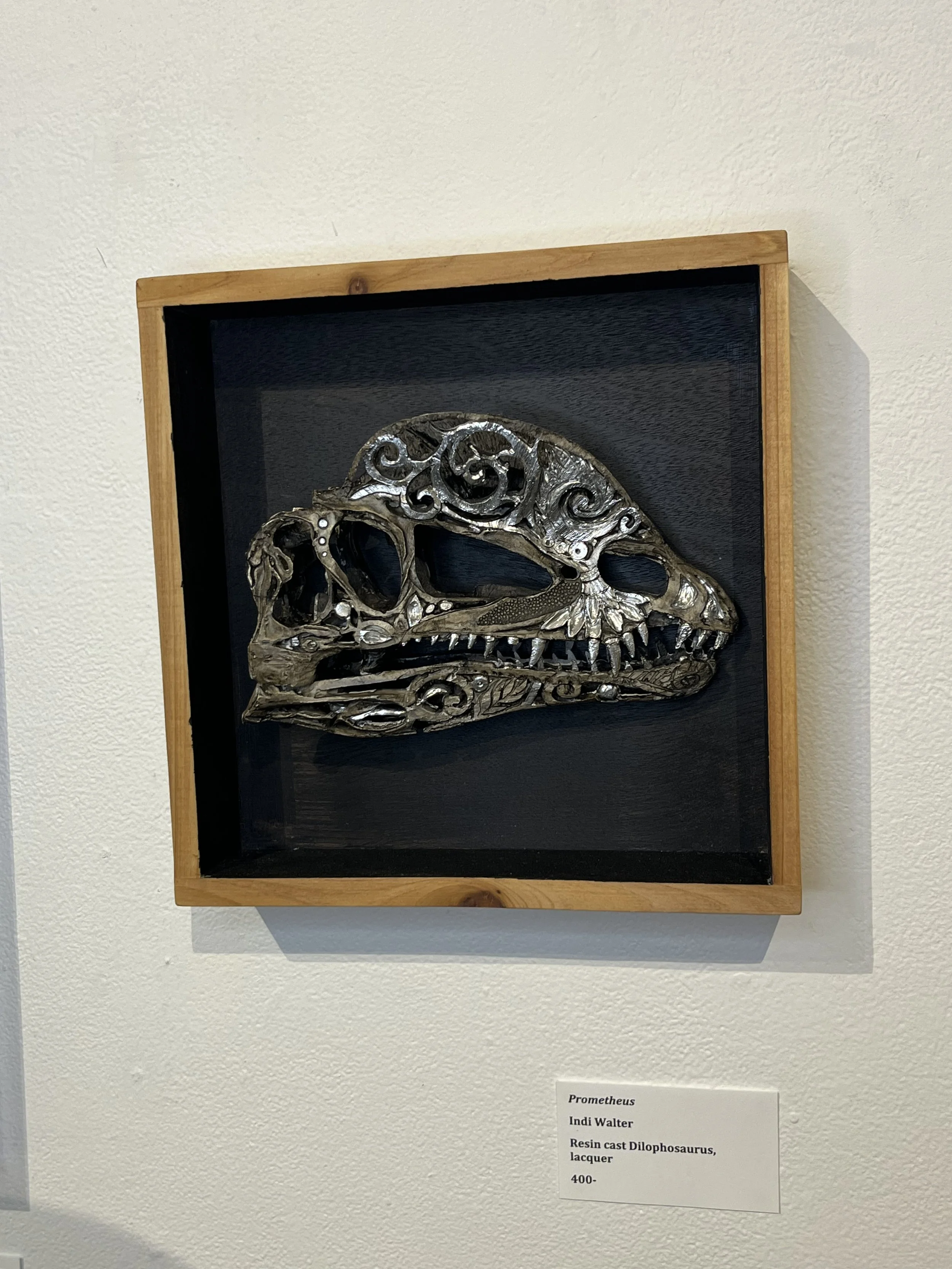 Photo Dec 13 2025, 3 20 43 PM.jpg