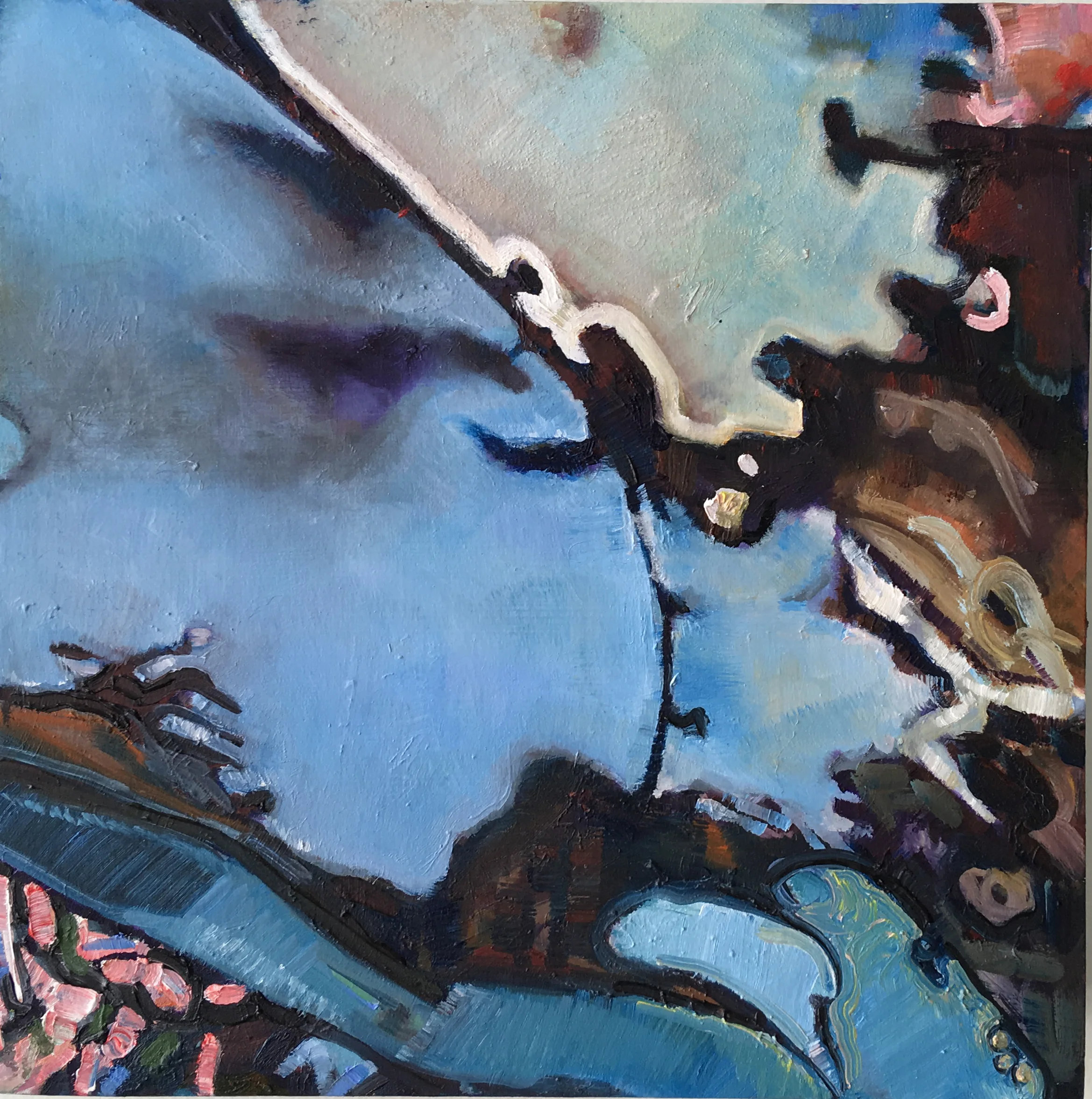 Under Foot at Fitzgerald Preserve