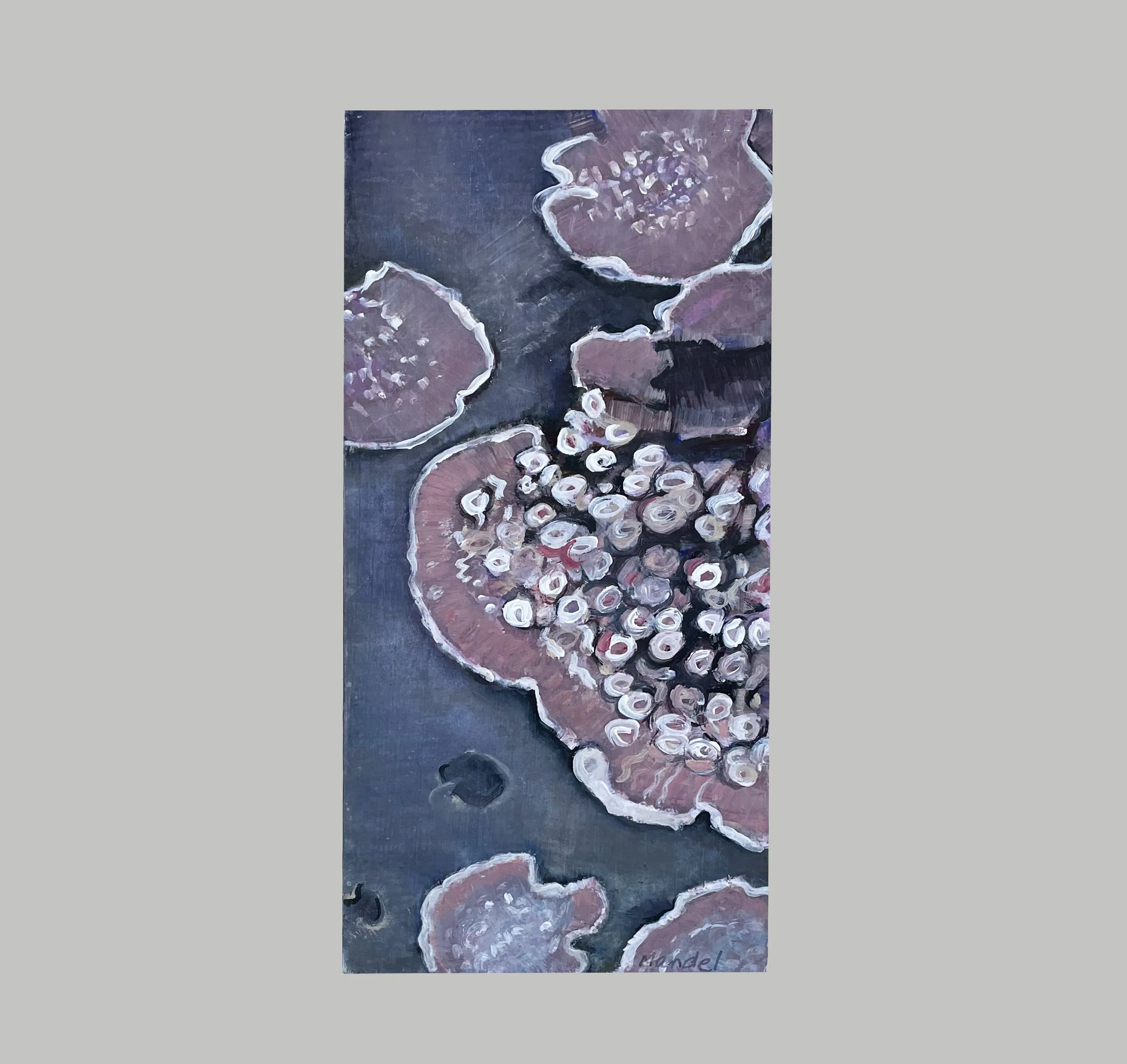 Low Tide at Moss Beach