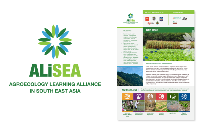 alisea work.jpg