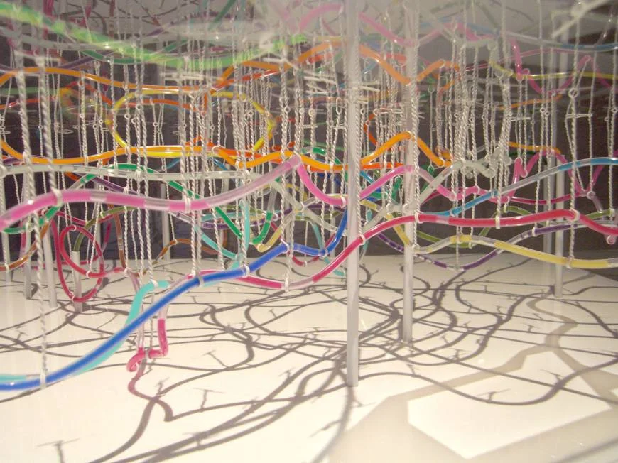 Ant nest: Takatsugu Kuriyama used water hoses and multicolored ink to create a 3-D map of the underground railway lines in Tokyo.