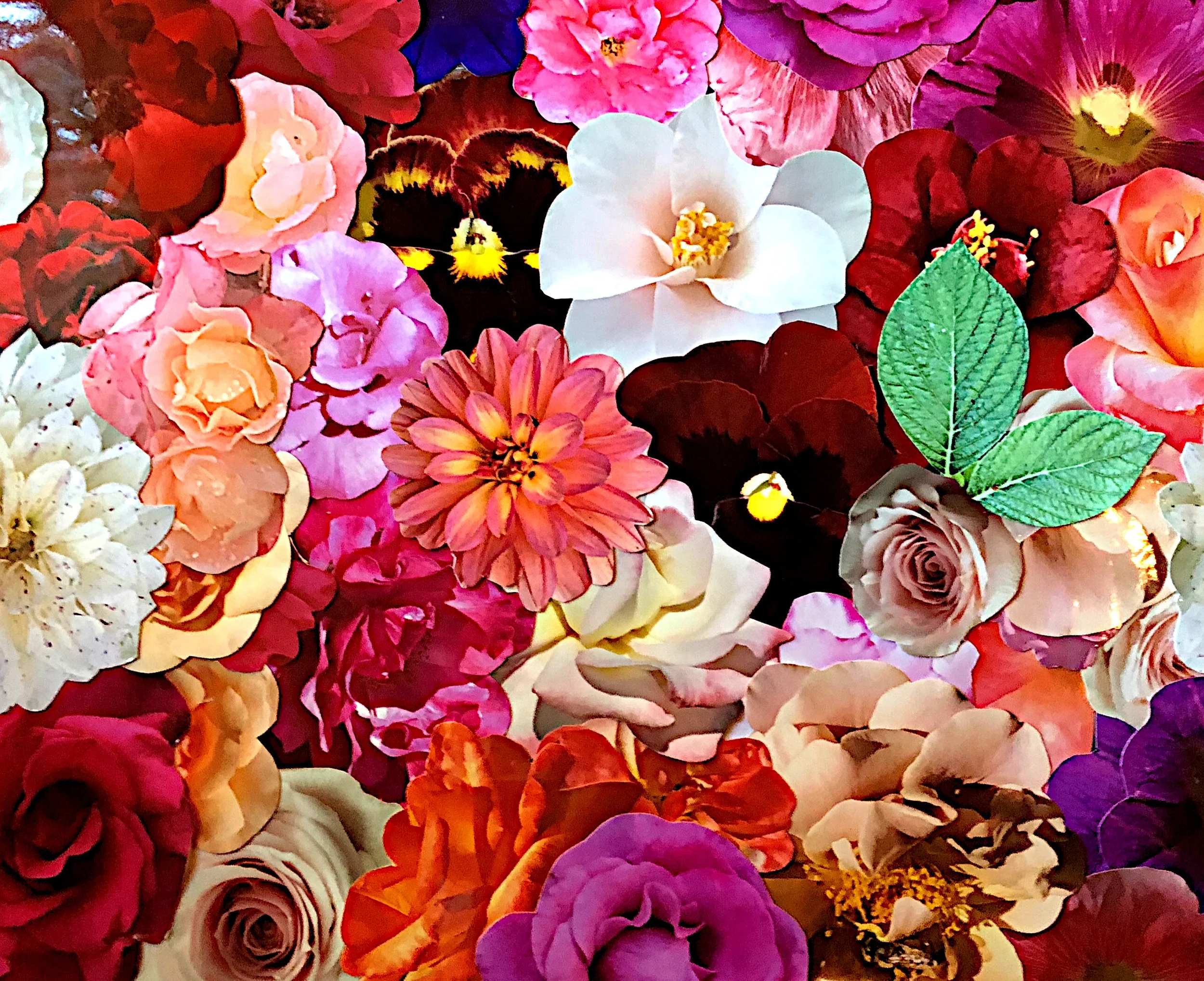 KAT KLEINMAN |  United States