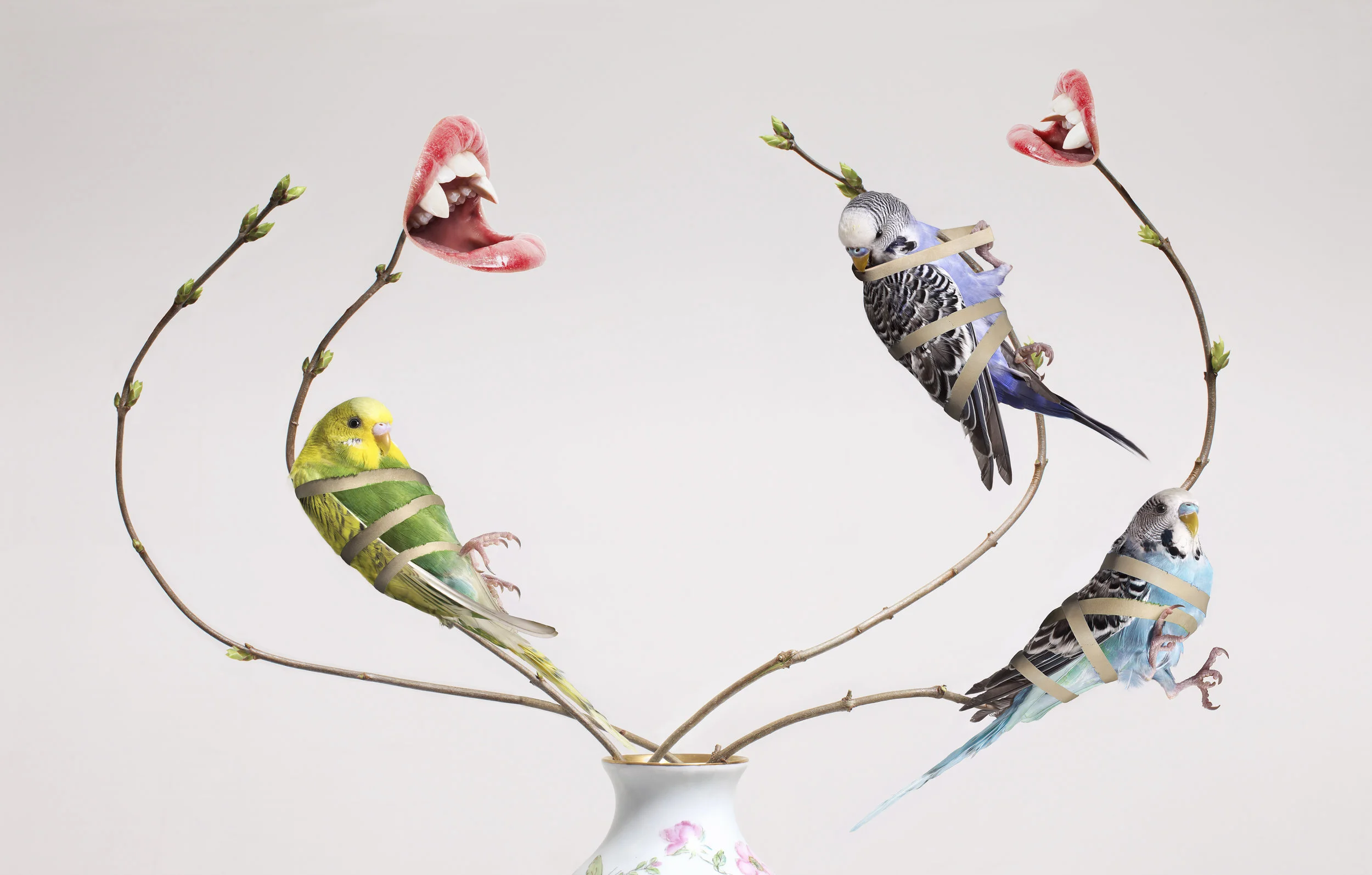 STEFAN JELLHEDEN  |  Sweden