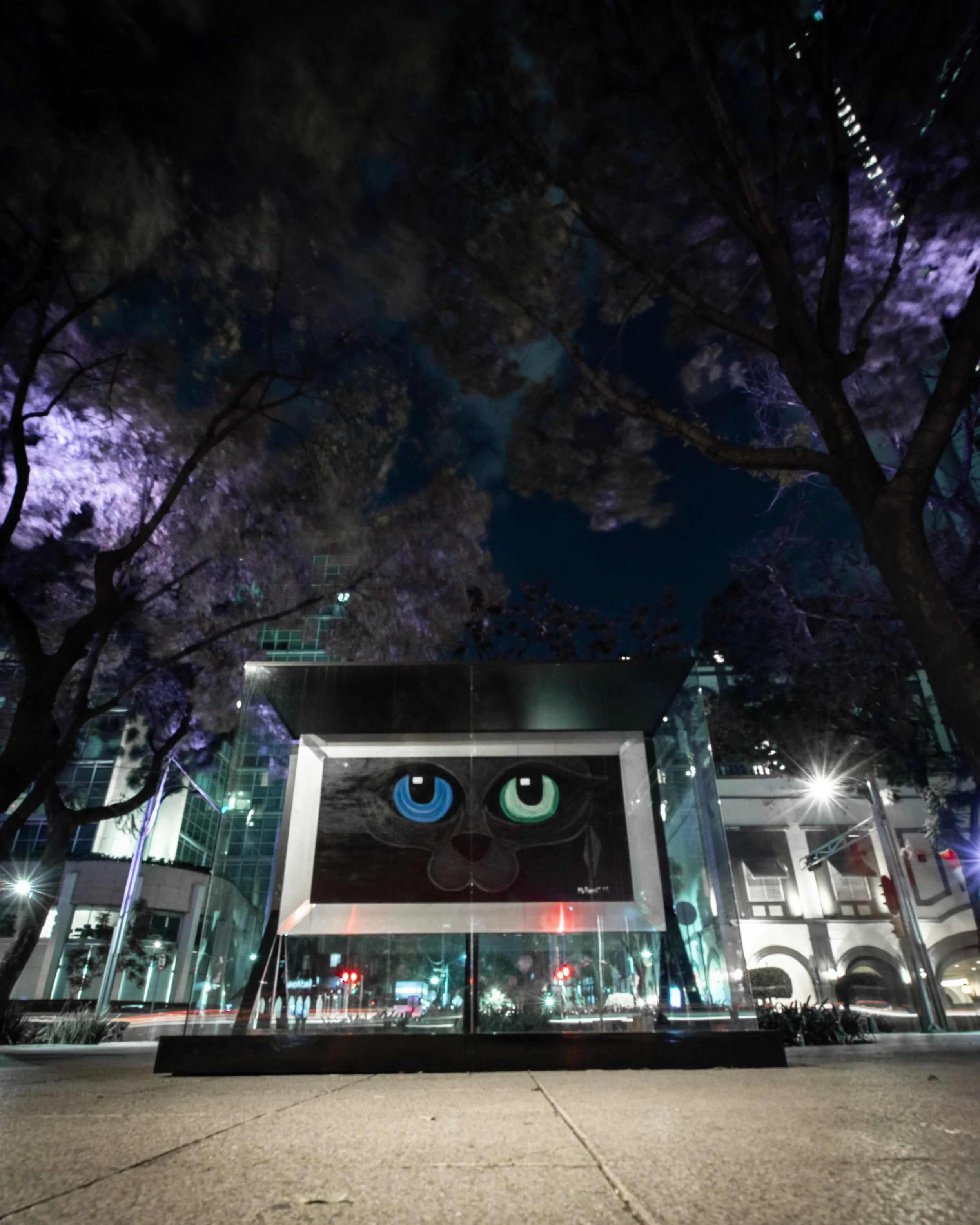 Feline, Heterochromia MM en Reforma Paseo de la Reforma, Mexico City 2018