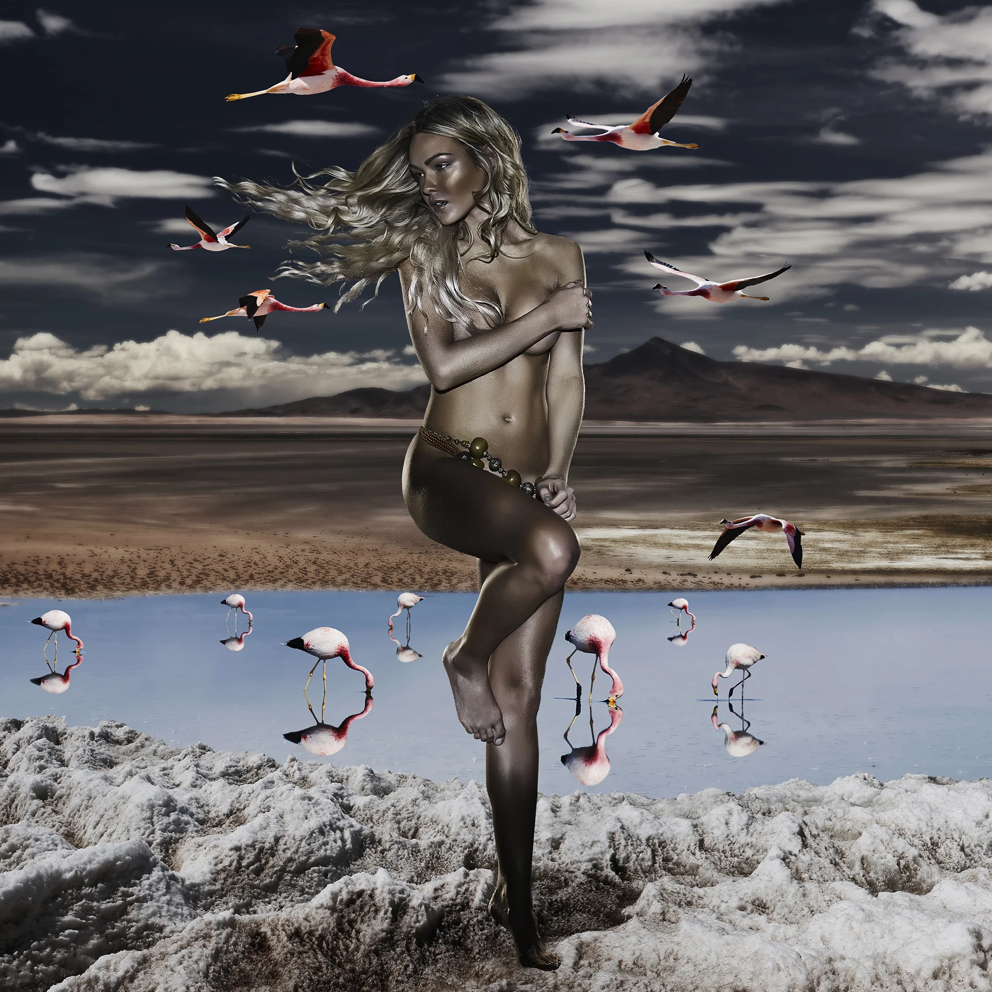 Transcendental Surreal Ba And The Flamingos Of Atacama