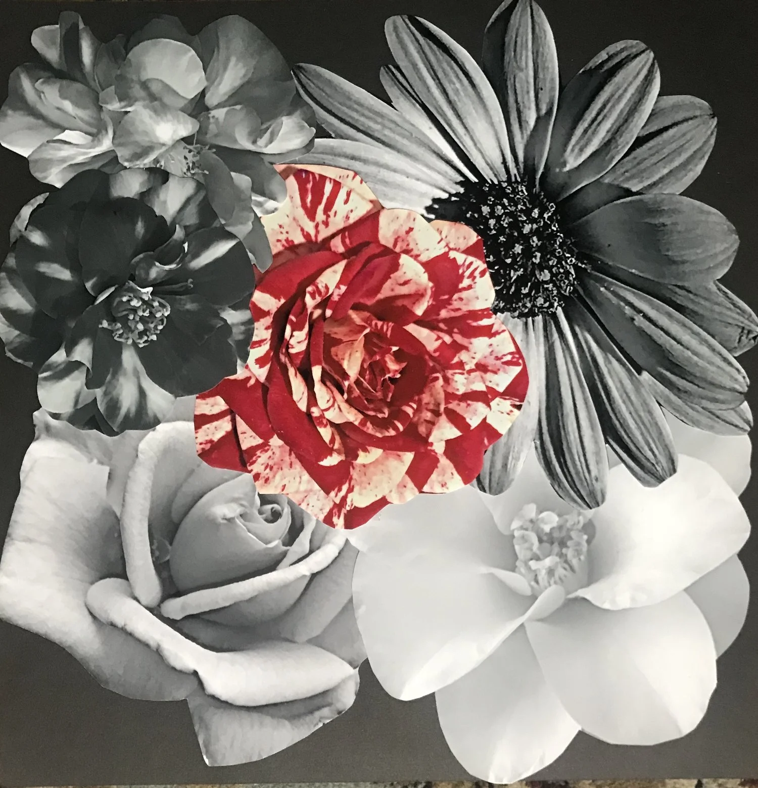 KAT KLEINMAN  |  United States