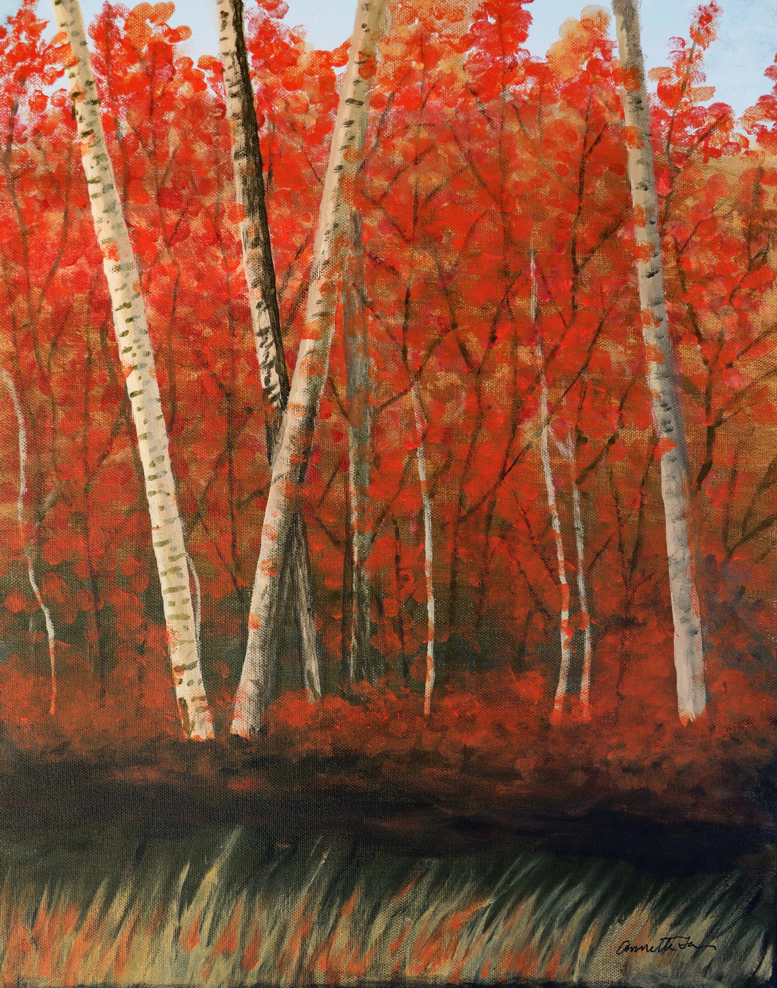 Birch in the Fall
