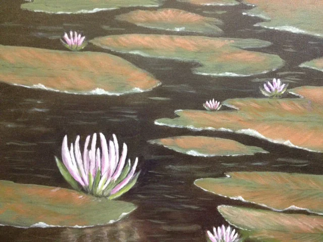 Lily Pond