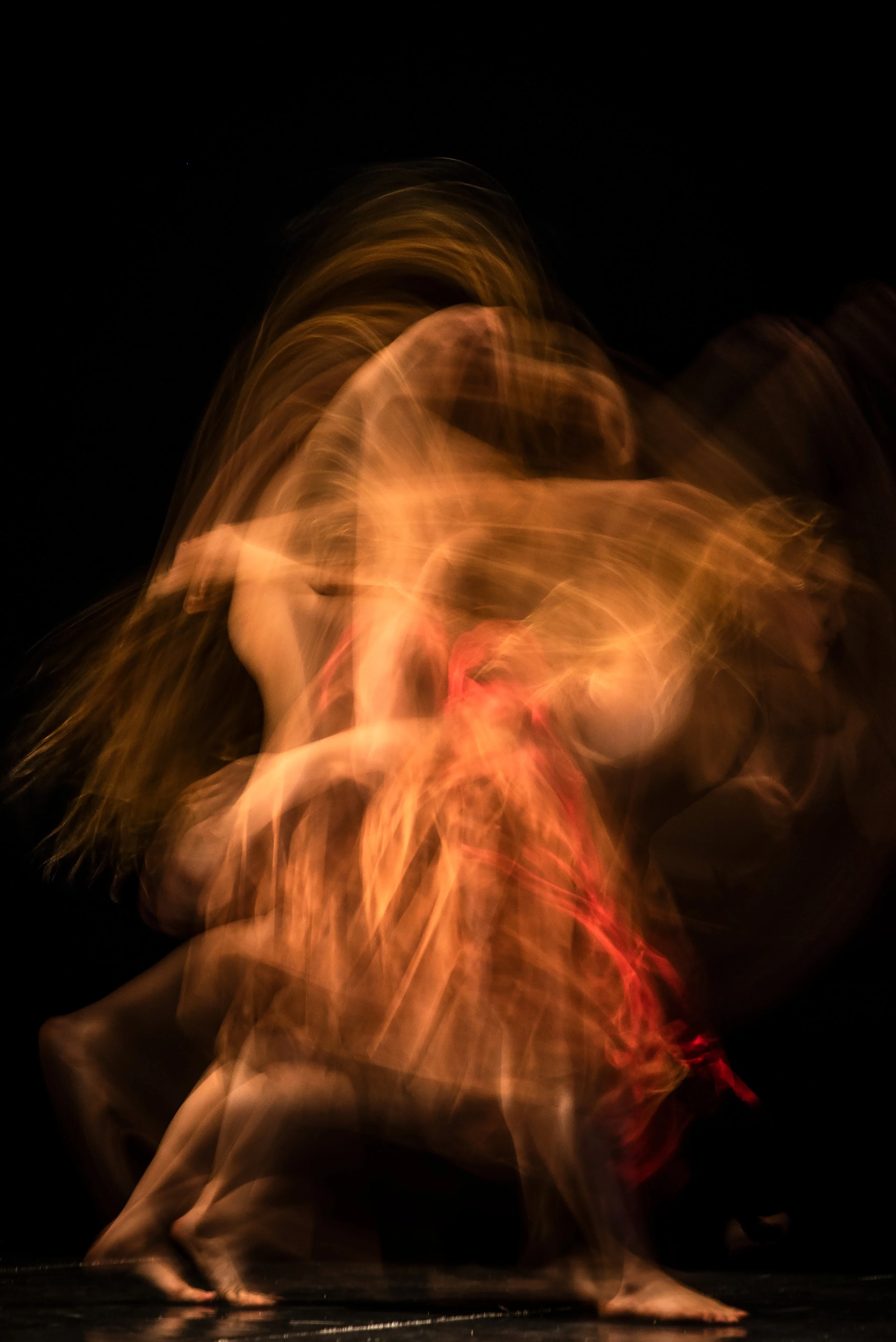 SISEL LAN | United States