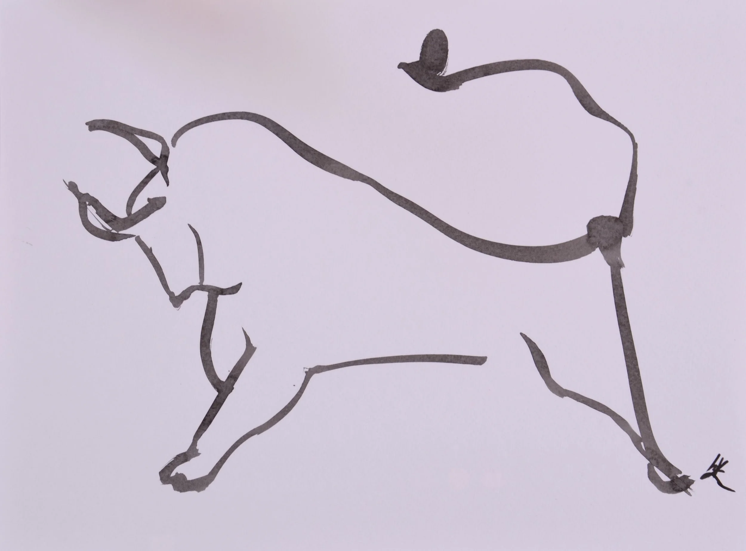 Toro