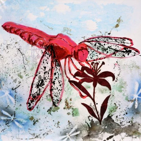 Scarlet Dragonfly