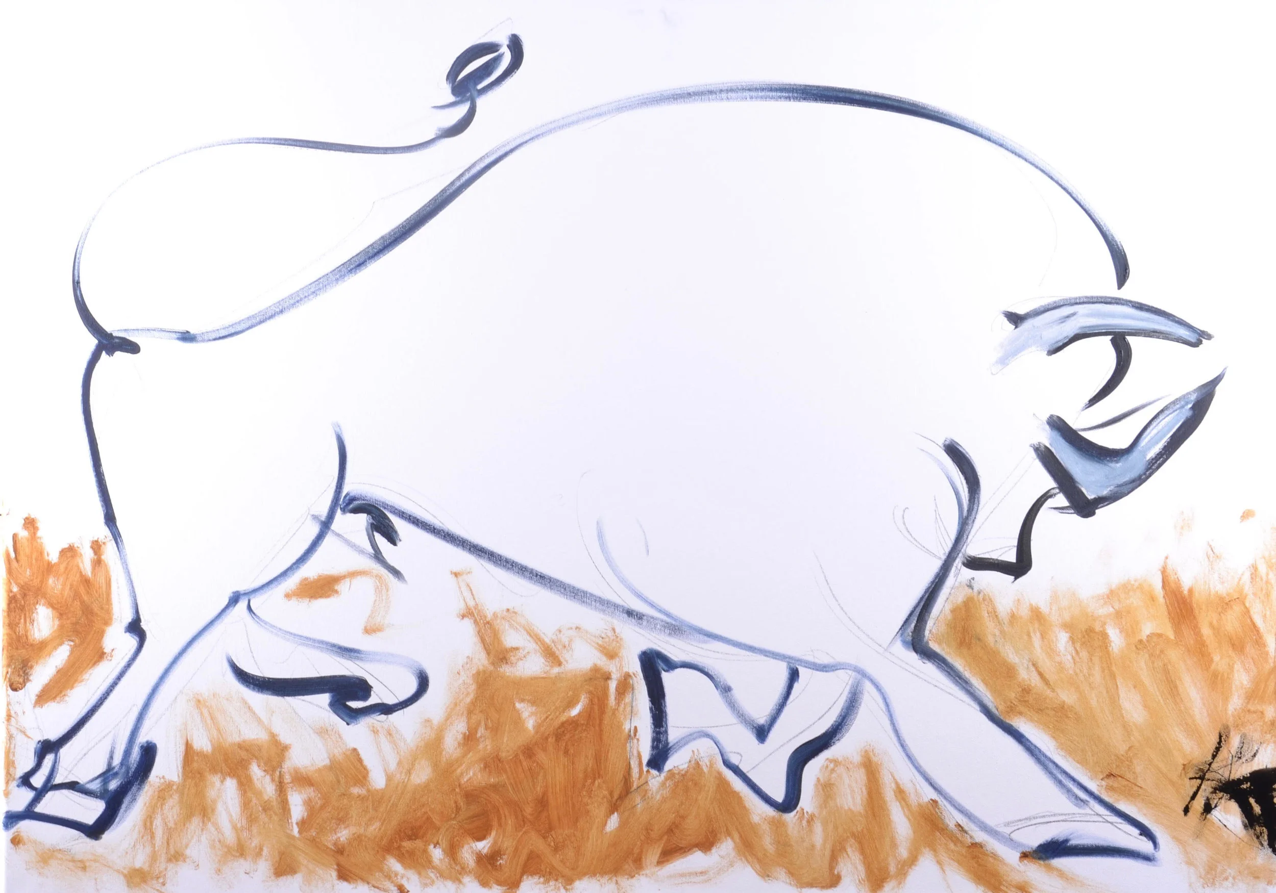 Dancing like a toro