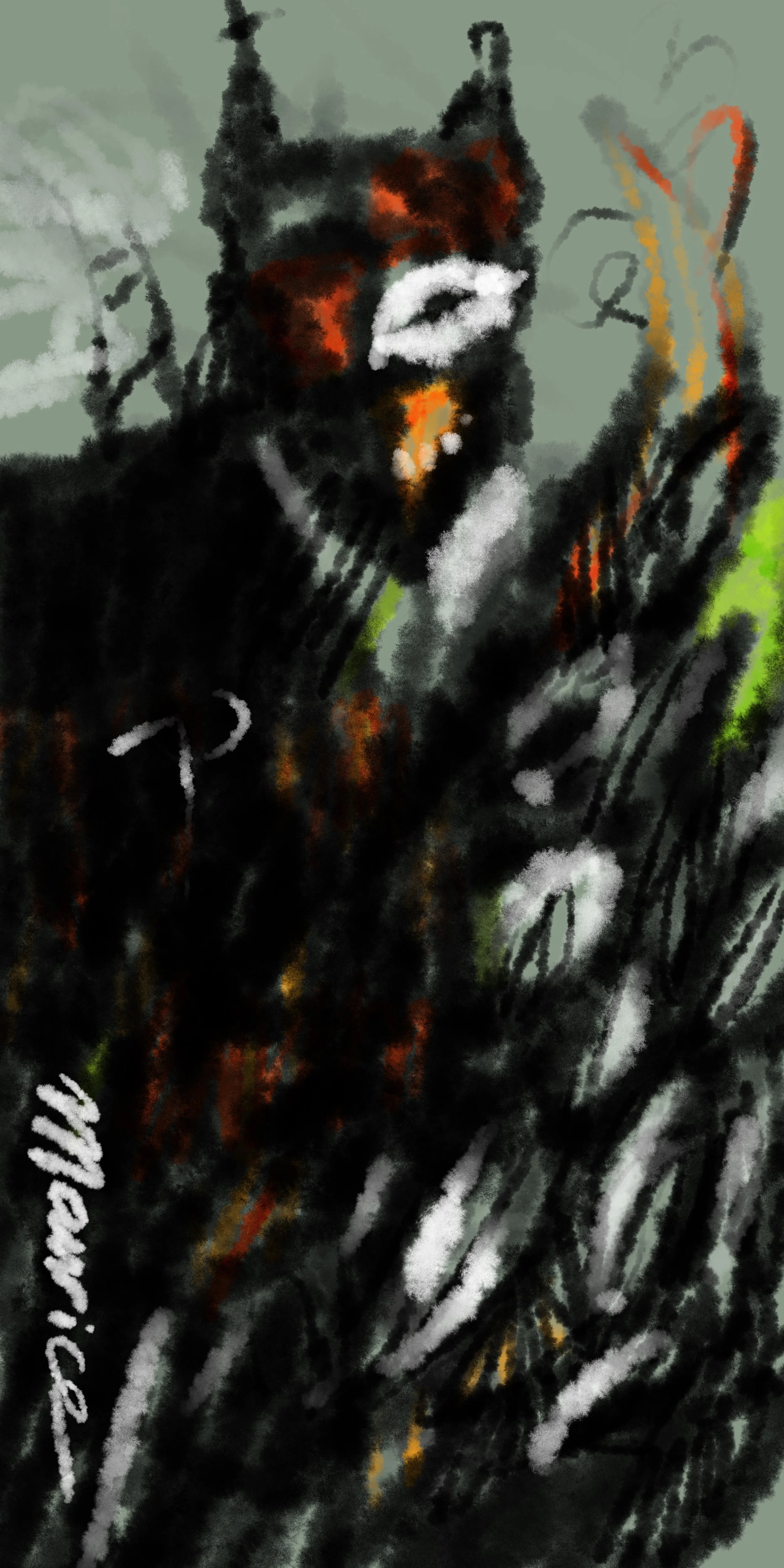 MAURICE VAN TILBURG - GLIMNE  |  Netherlands