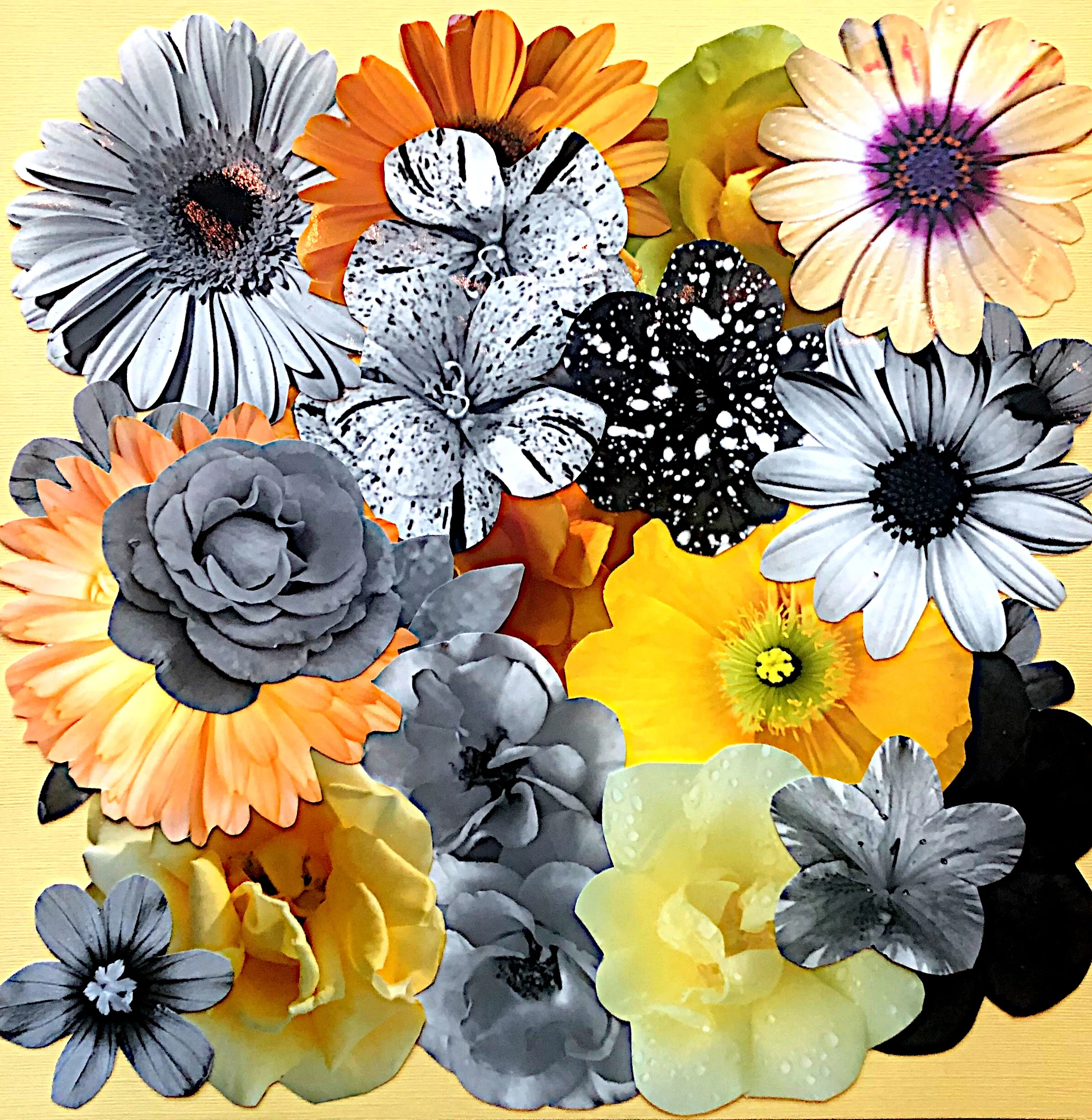 Kat Kleinman  |  United States