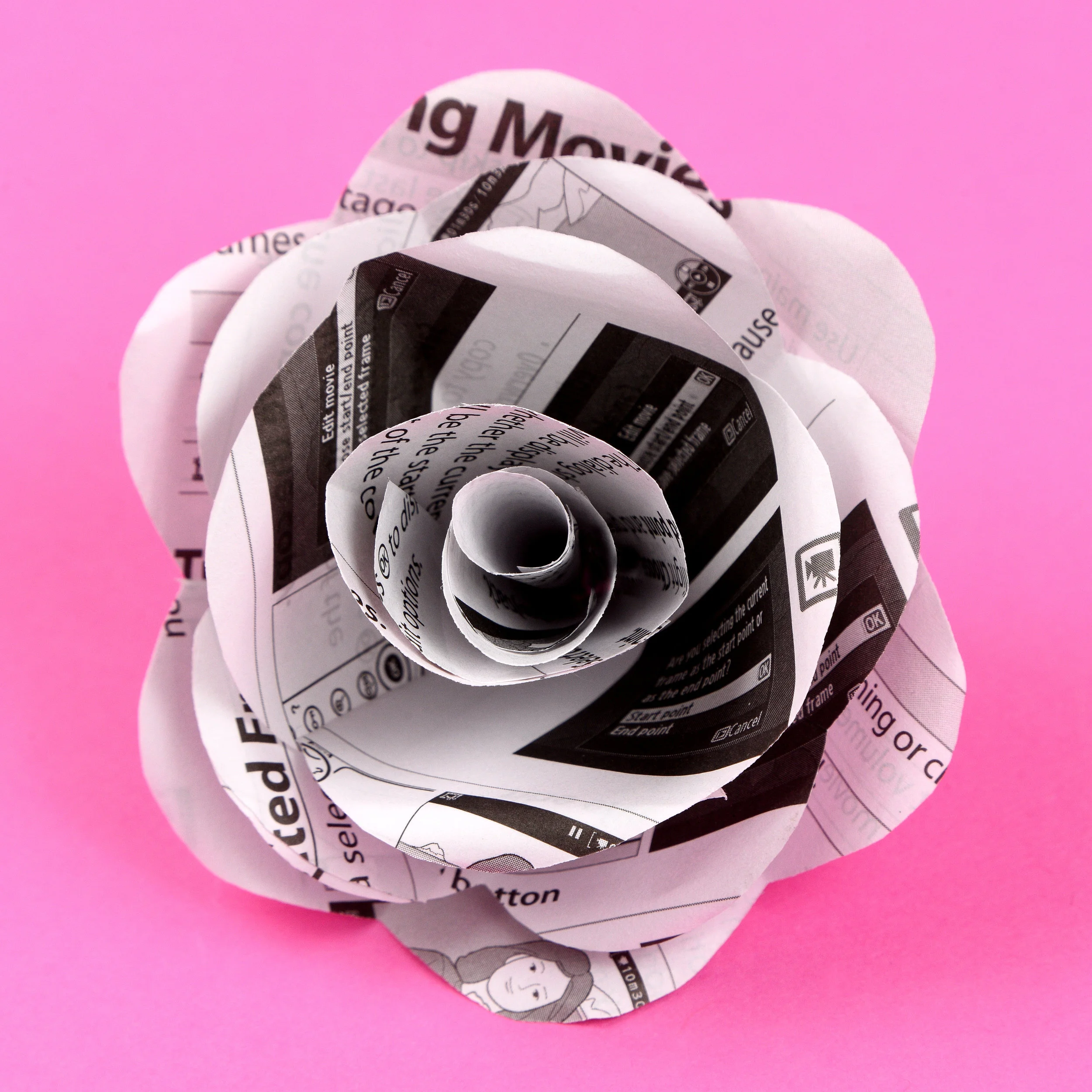 Art Manual - A Rose