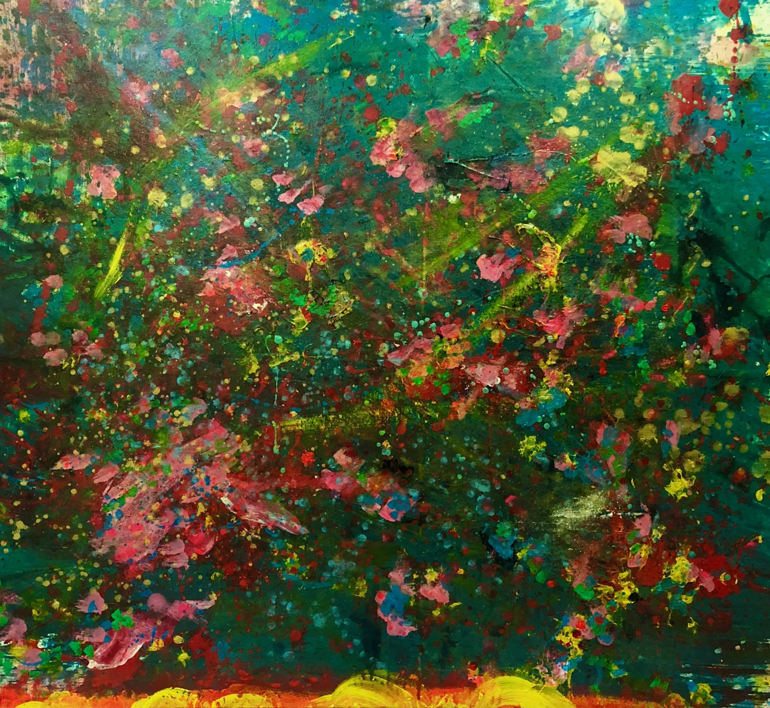 Bougainvillea