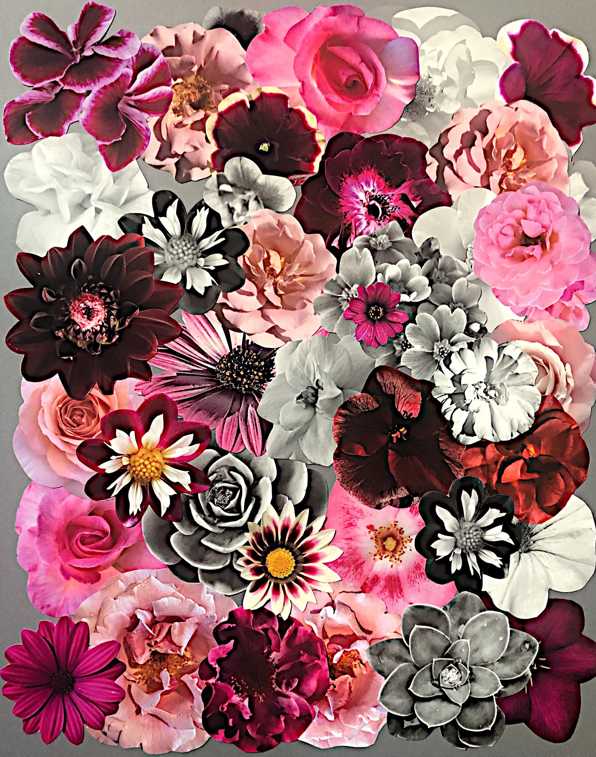 Kat Kleinman  |  United States