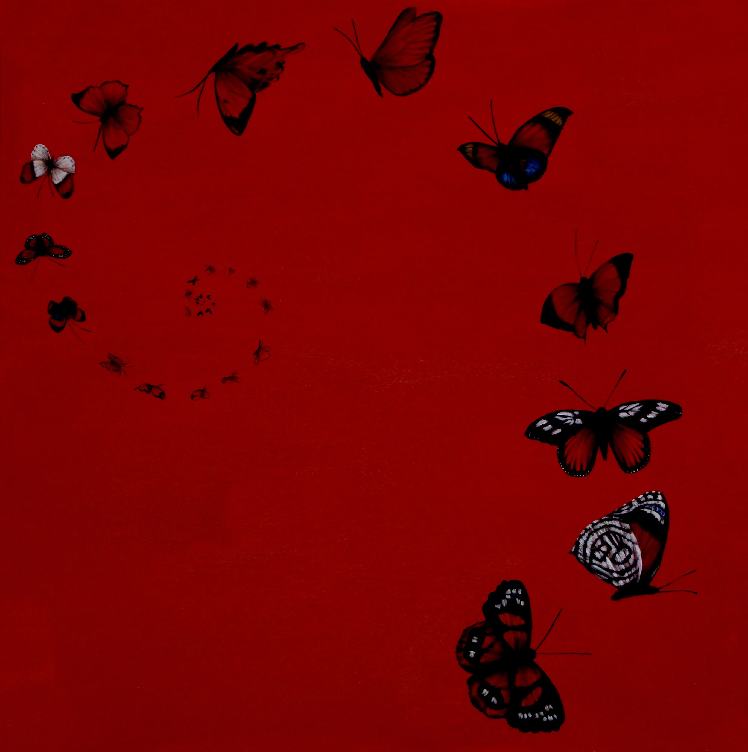 Marina Koraki  |  Greece