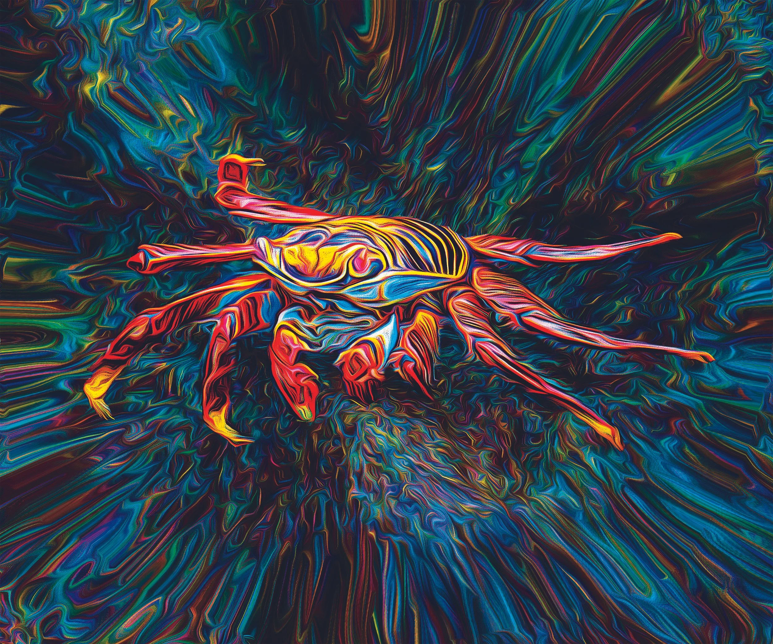Cosmic Crab