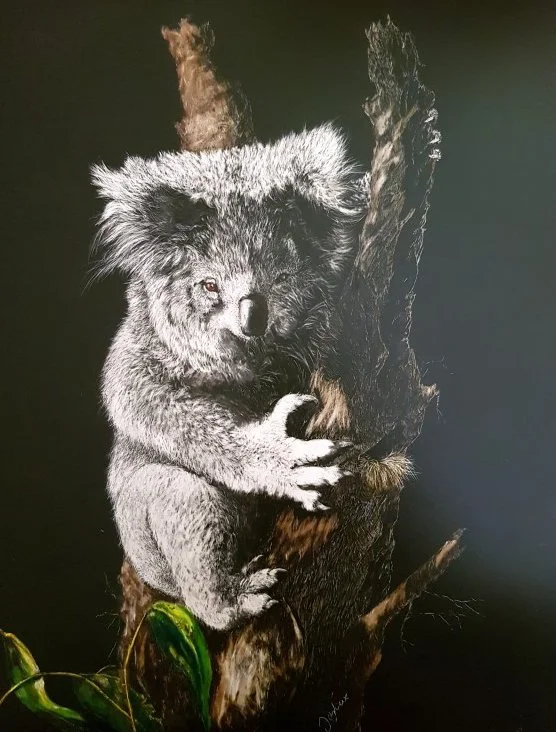 Living with Hope, Koala