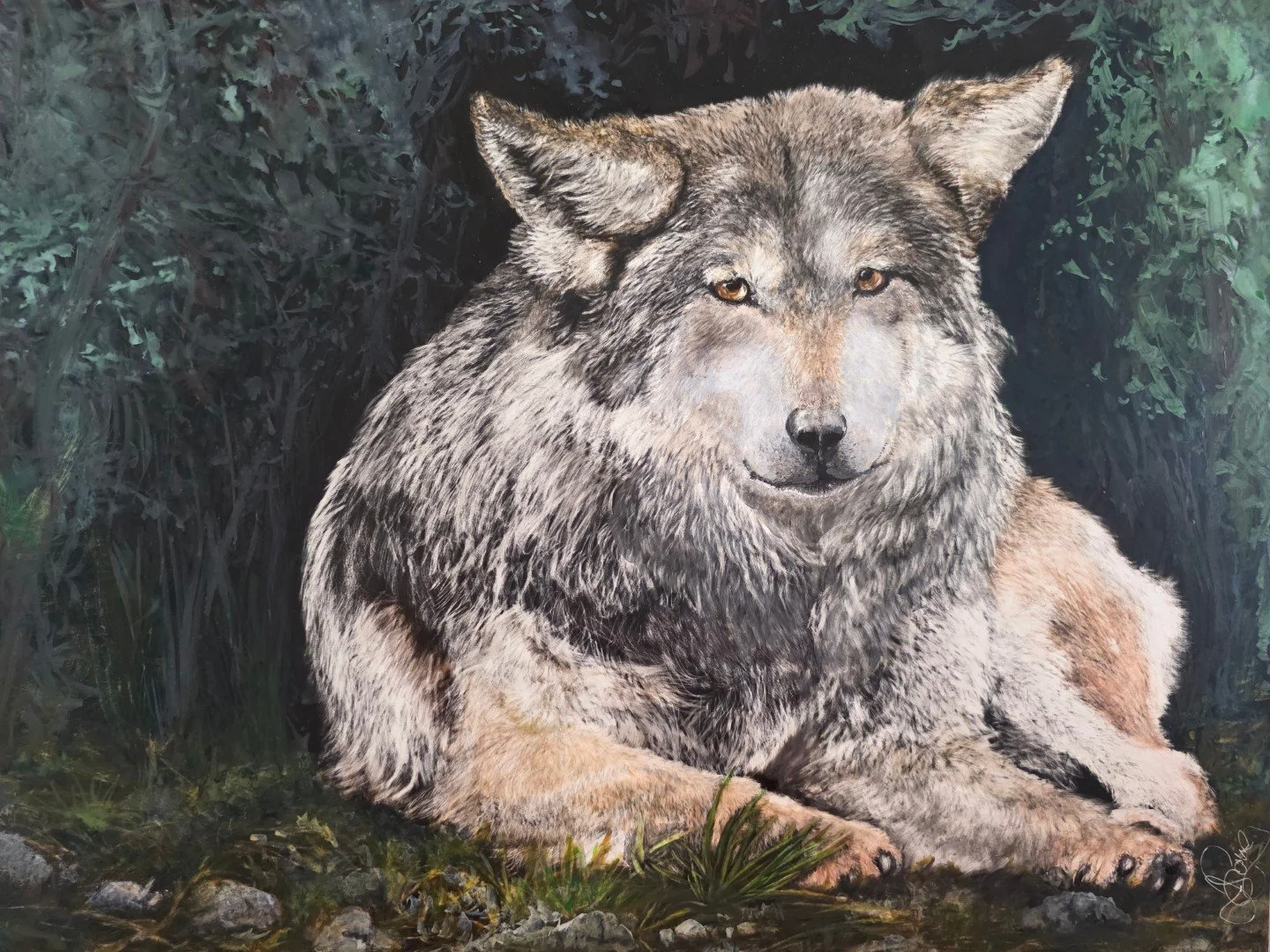 Grey Wolf of USA