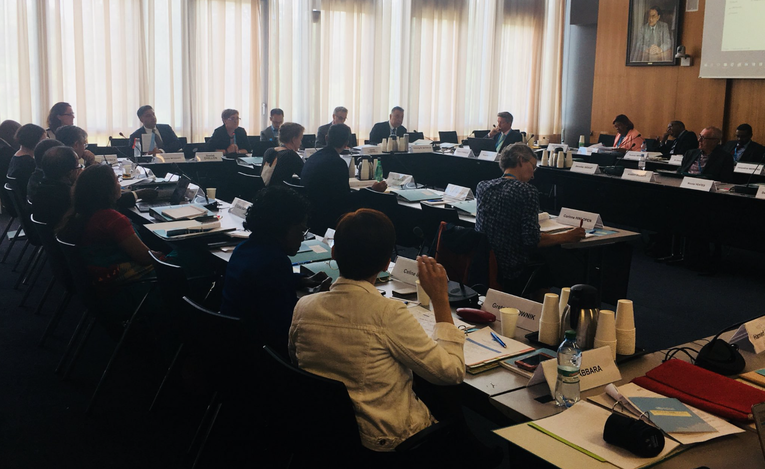 First public hearing of the Expert Advisory Group to review the WHO Global Code of Practice on International Recruitment of Health Personnel on June 18th, 2019