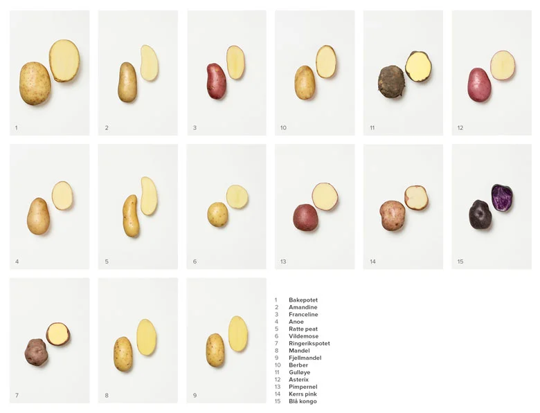 allpotatoes-1.jpg