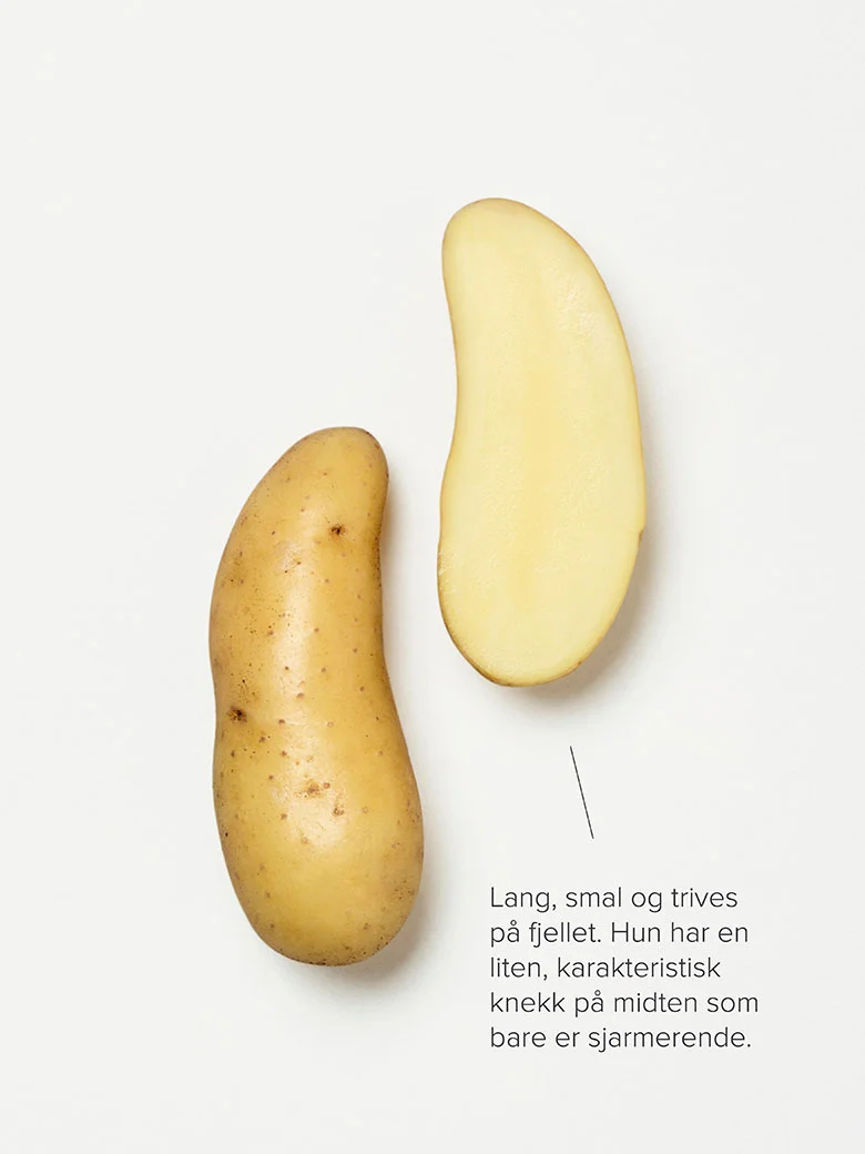 mandel_type_long-1.jpg