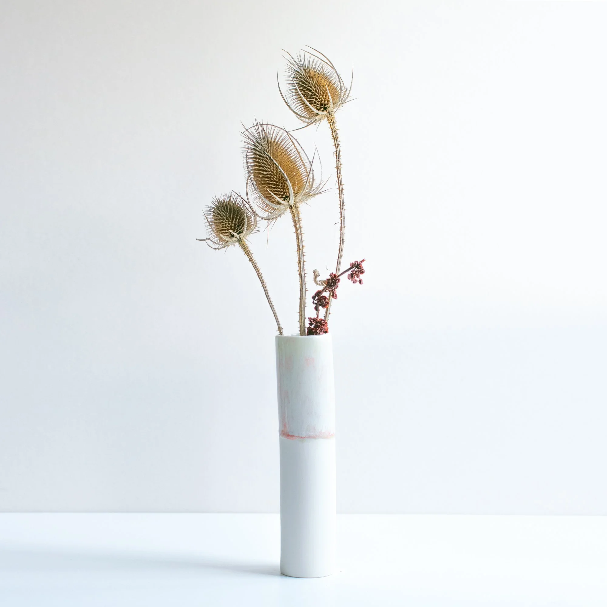 Tall shepherds delight pods sq 144.jpg