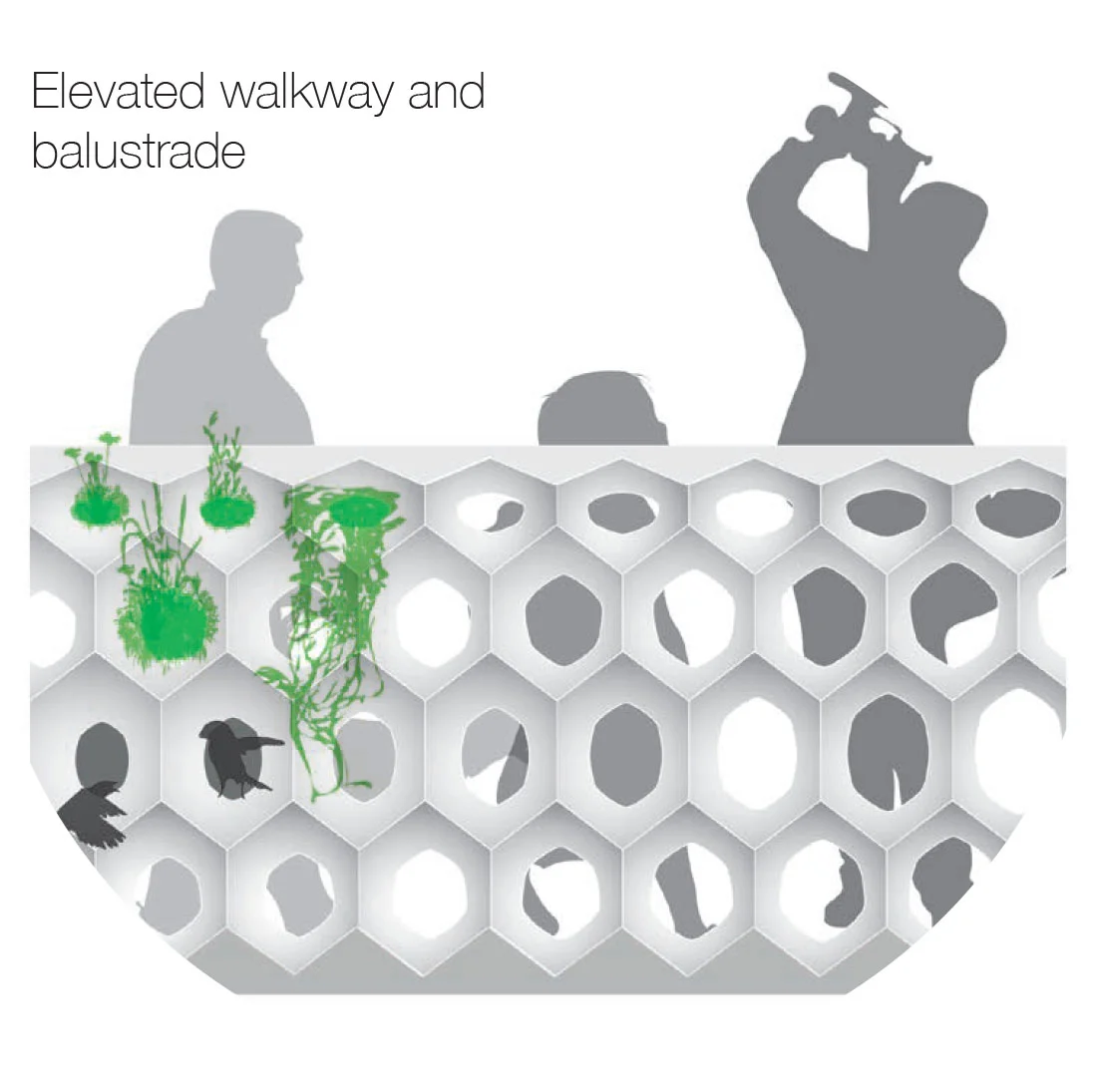 Typology: Balustrade