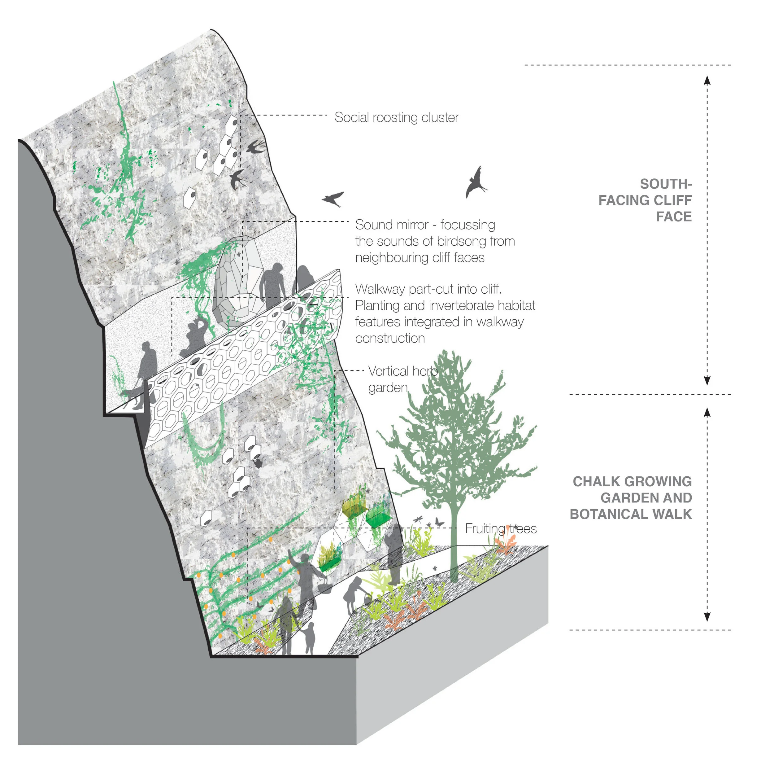 Section cut: Cliff Botanical Garden