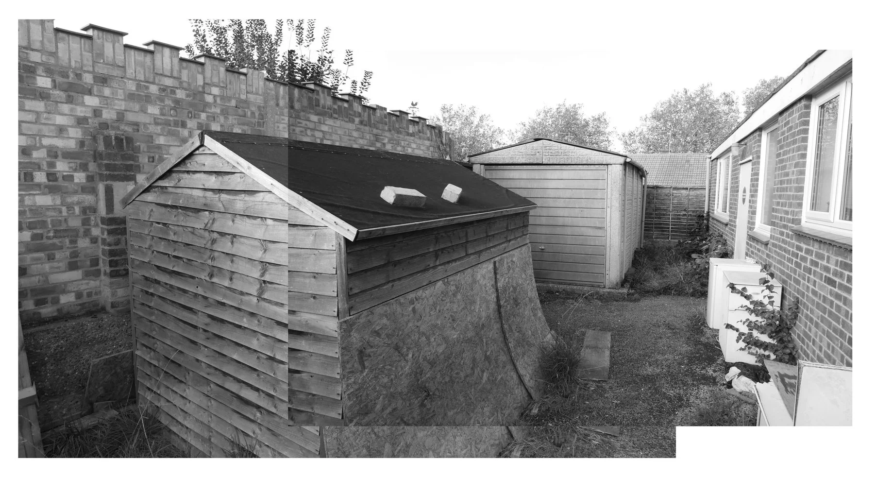 Garden looking north.jpg