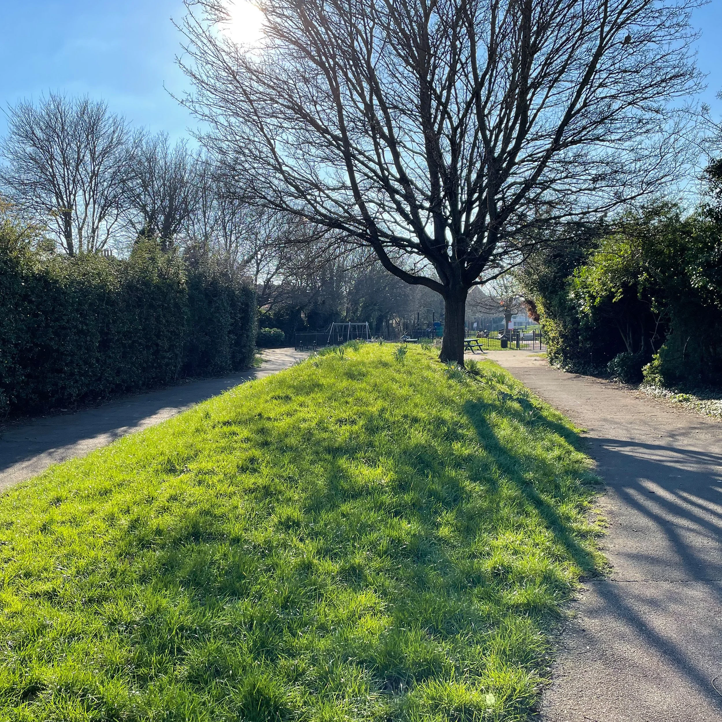 The existing park