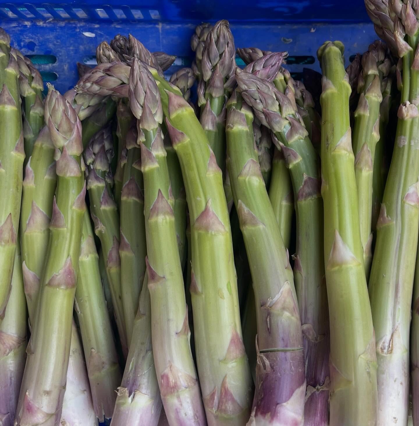 Asparagus at the market this morning