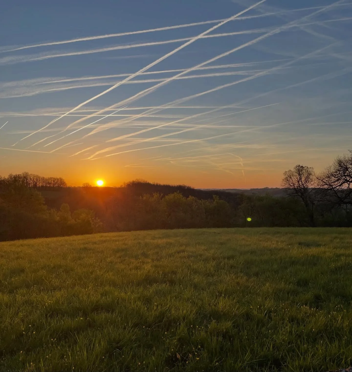 Sunrise over the meadow.