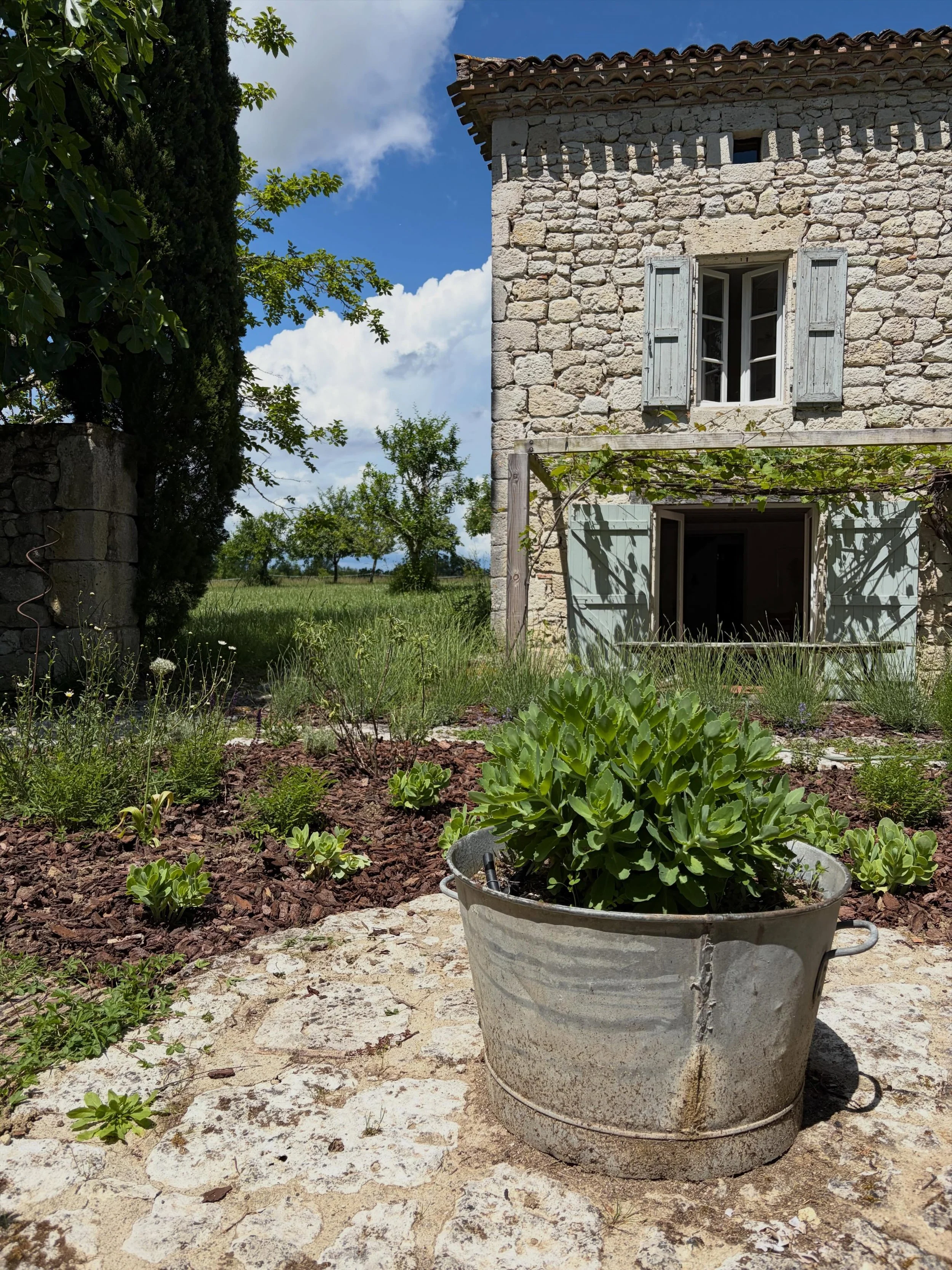 Walled garden #lerouch #littlewrengardens #swfrance #tarnetgaronne #farmhouse