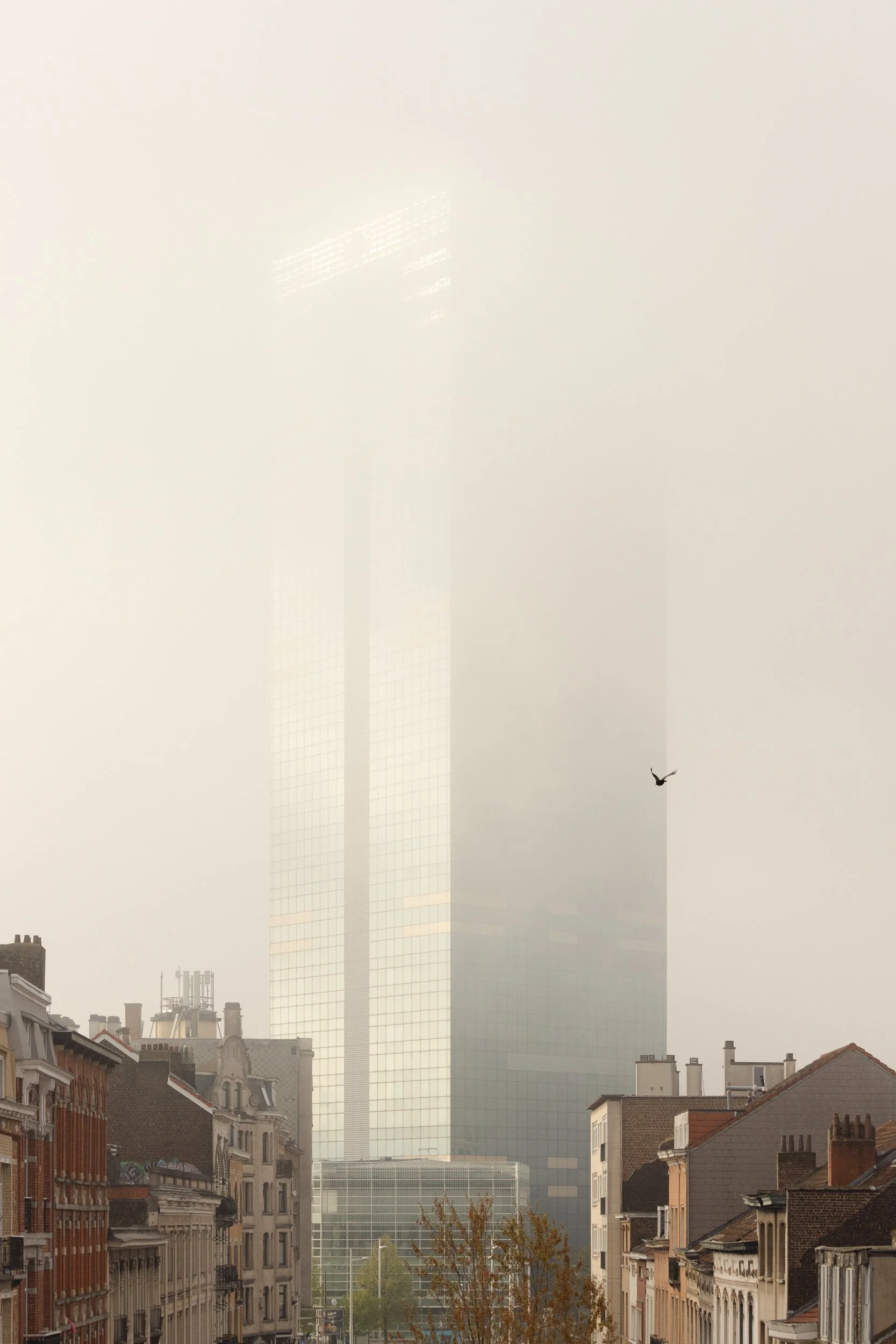 444A0843.jpg