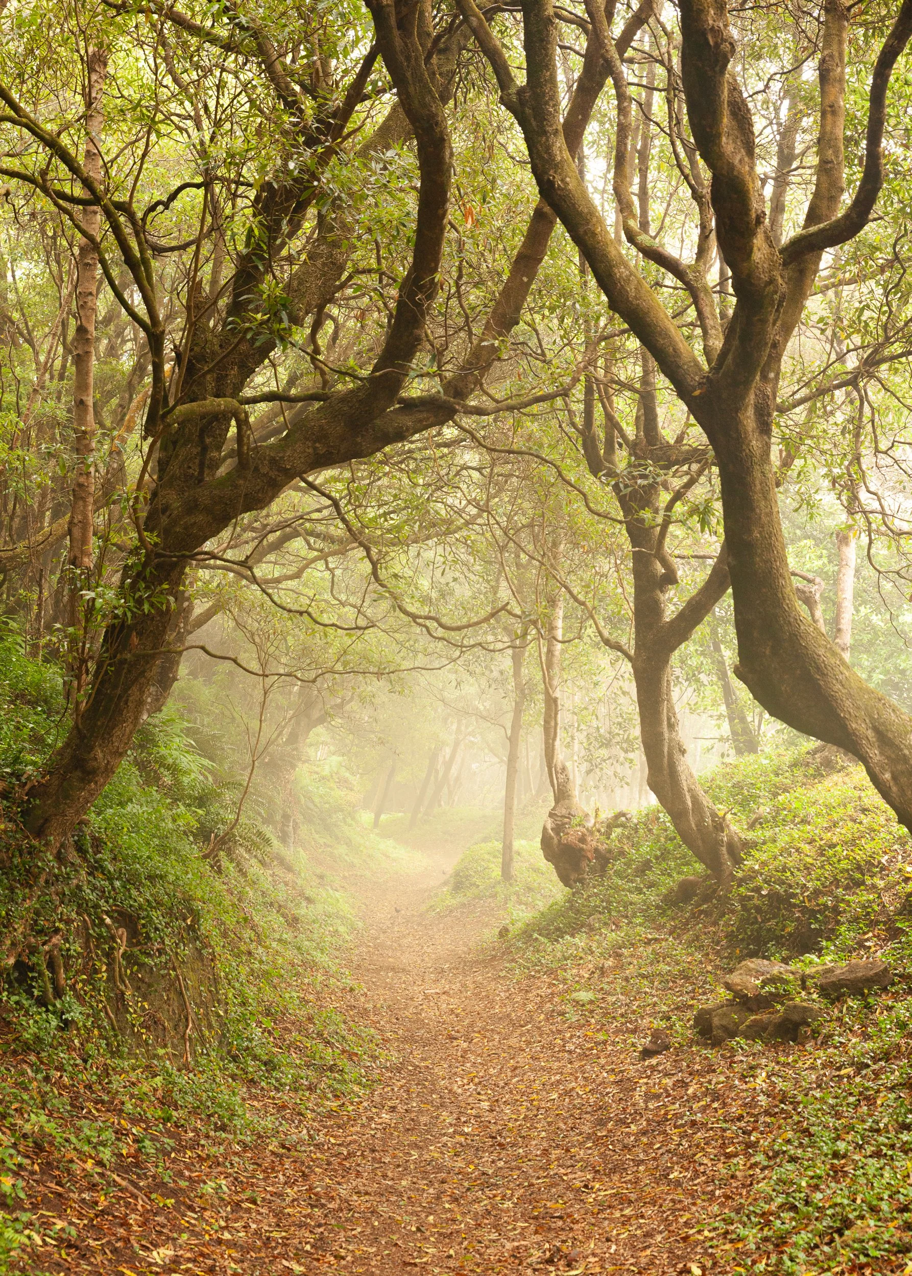 Terceira, Açores, Portugal