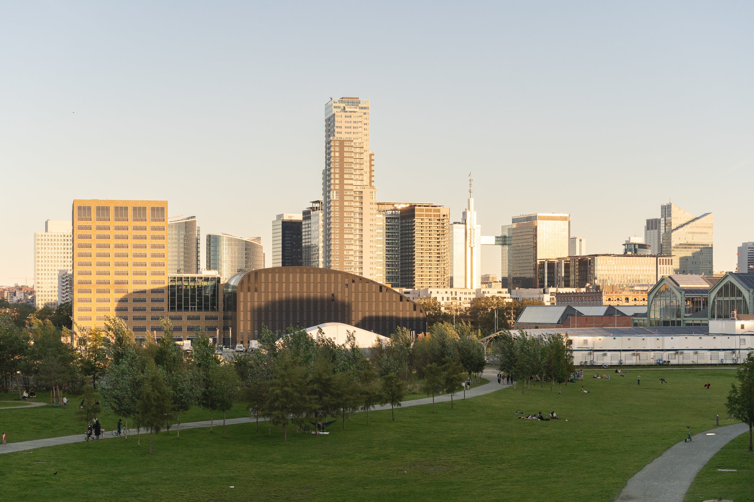 DSC03711-3.jpg